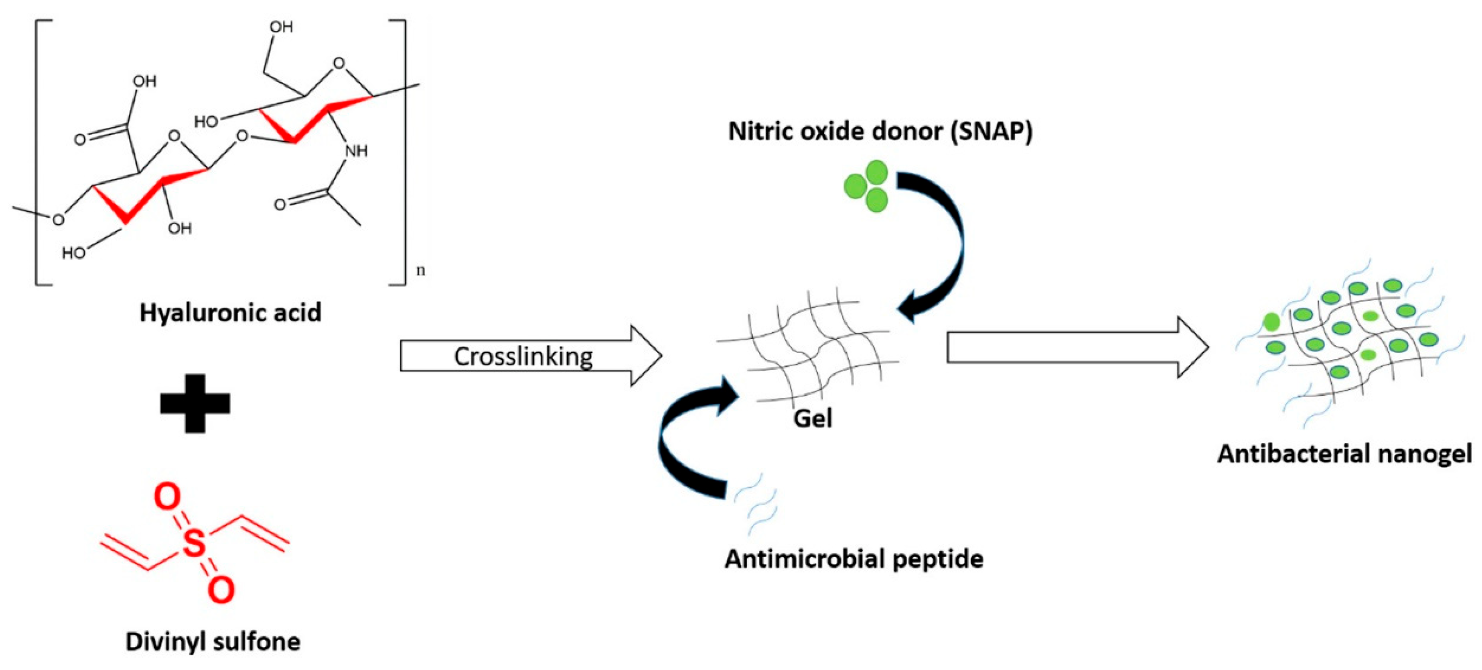 Pharmaceutics 15 01644 g007 Pharmaceutics 15 01644 g007