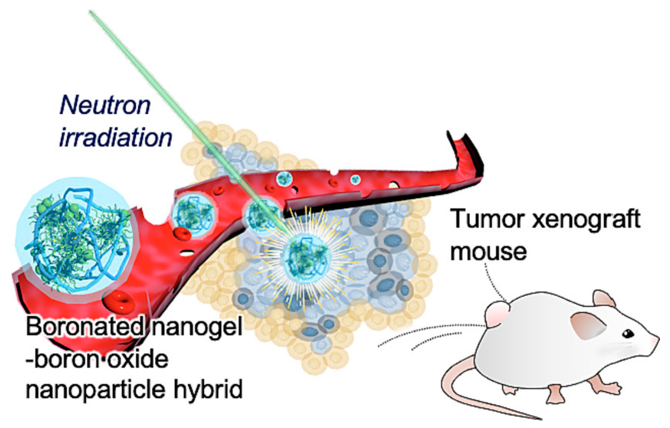 Pharmaceutics 15 01644 g008 Pharmaceutics 15 01644 g008