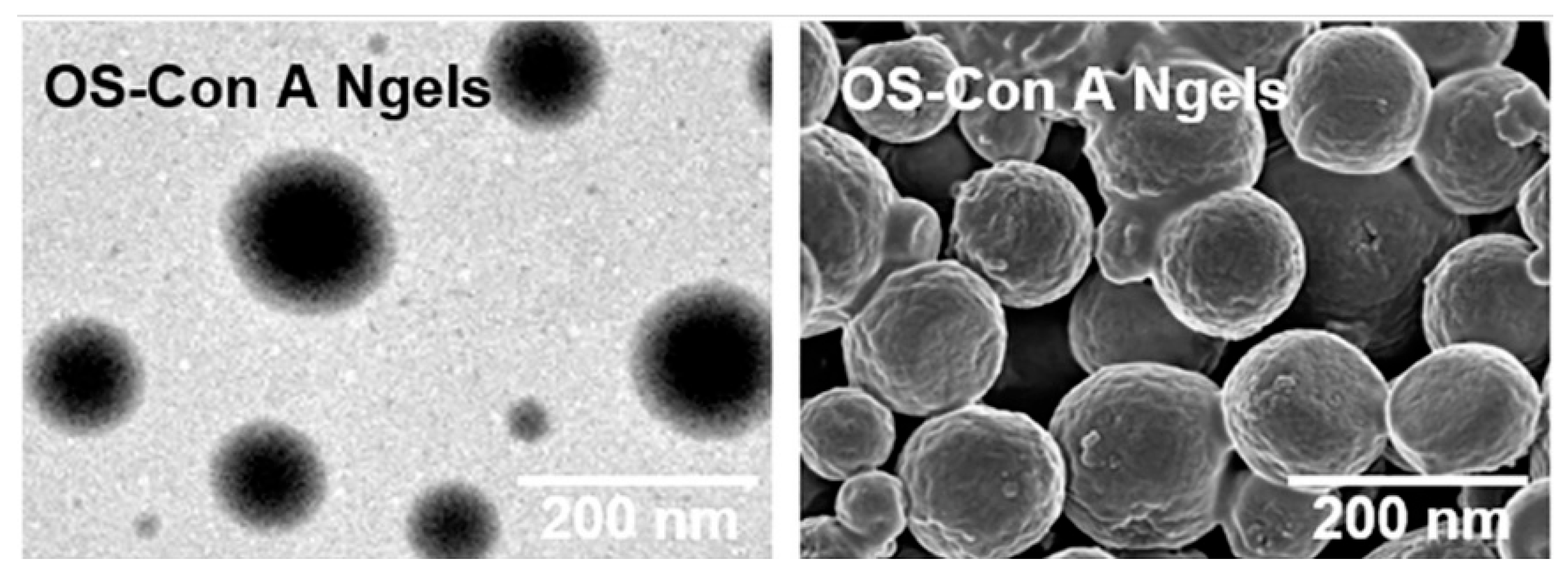 Pharmaceutics 15 01644 g009 Pharmaceutics 15 01644 g009