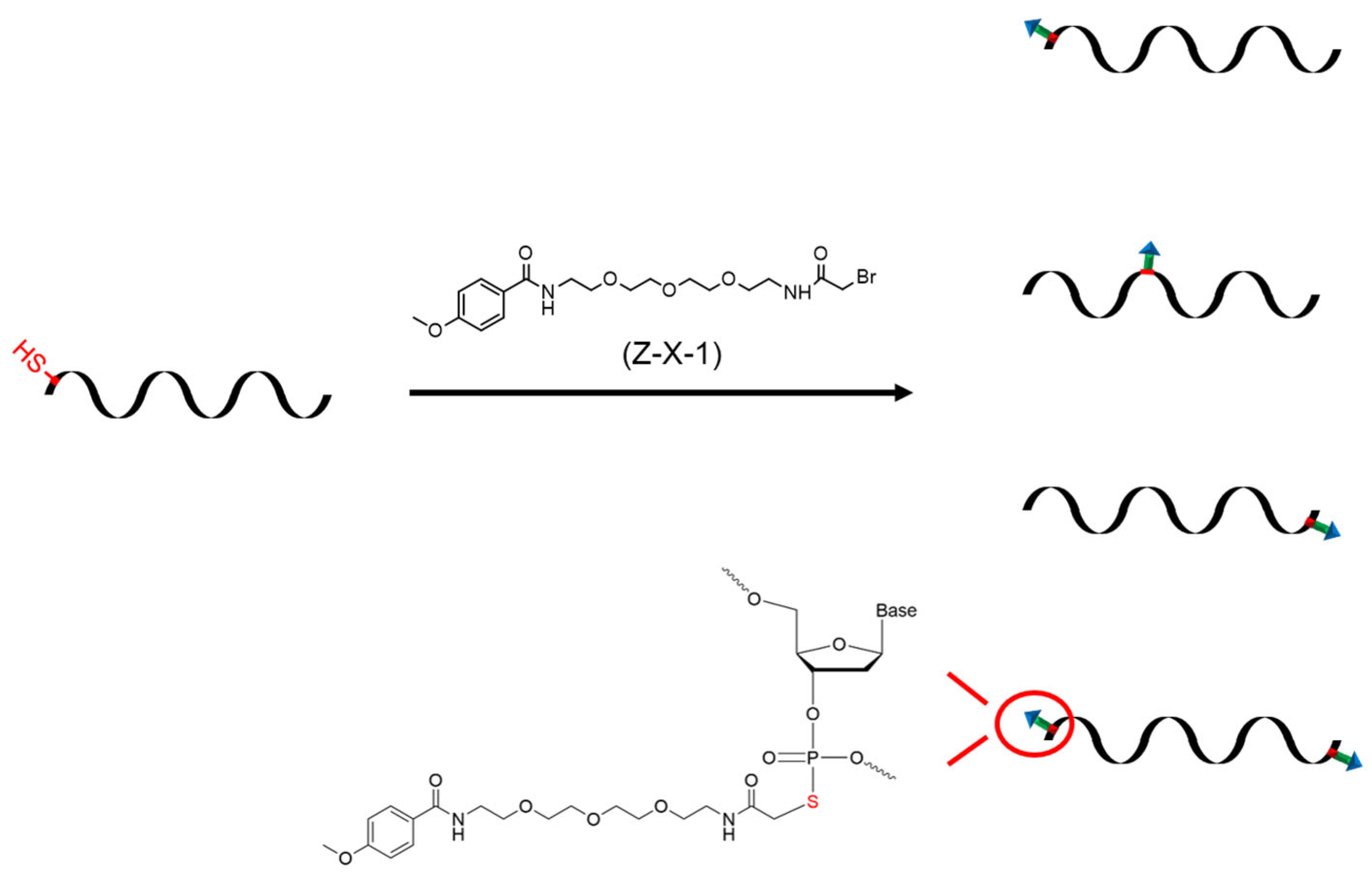 Pharmaceutics 15 01645 g001 Pharmaceutics 15 01645 g001