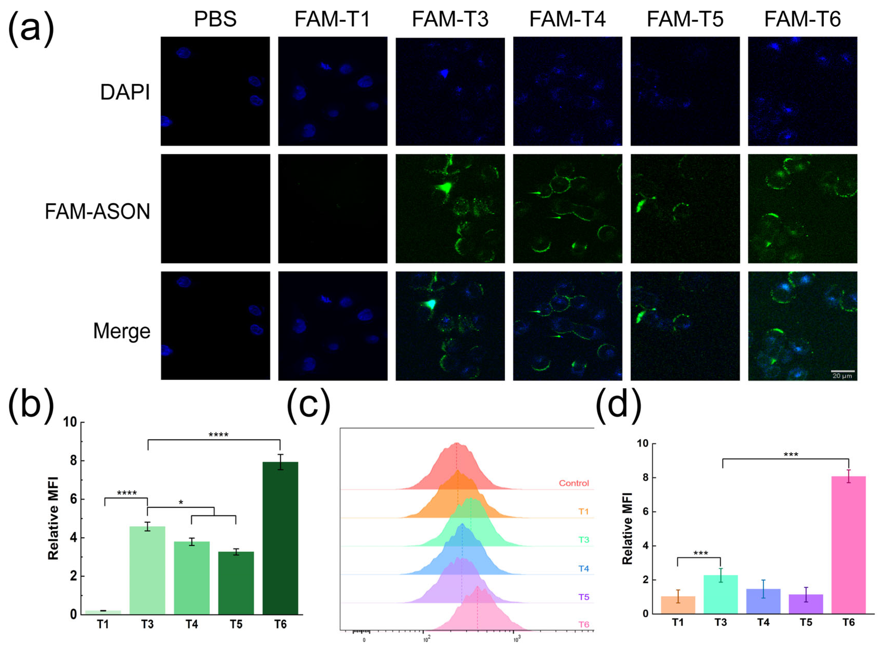 Pharmaceutics 15 01645 g004 Pharmaceutics 15 01645 g004