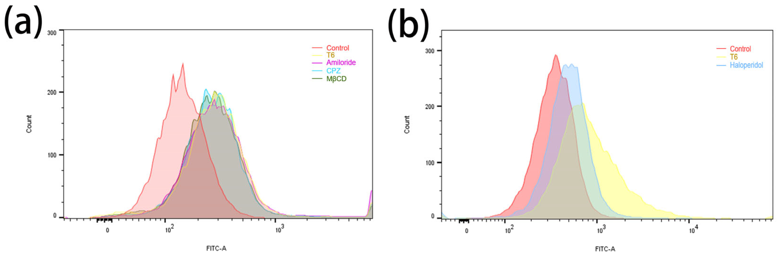 Pharmaceutics 15 01645 g006 Pharmaceutics 15 01645 g006
