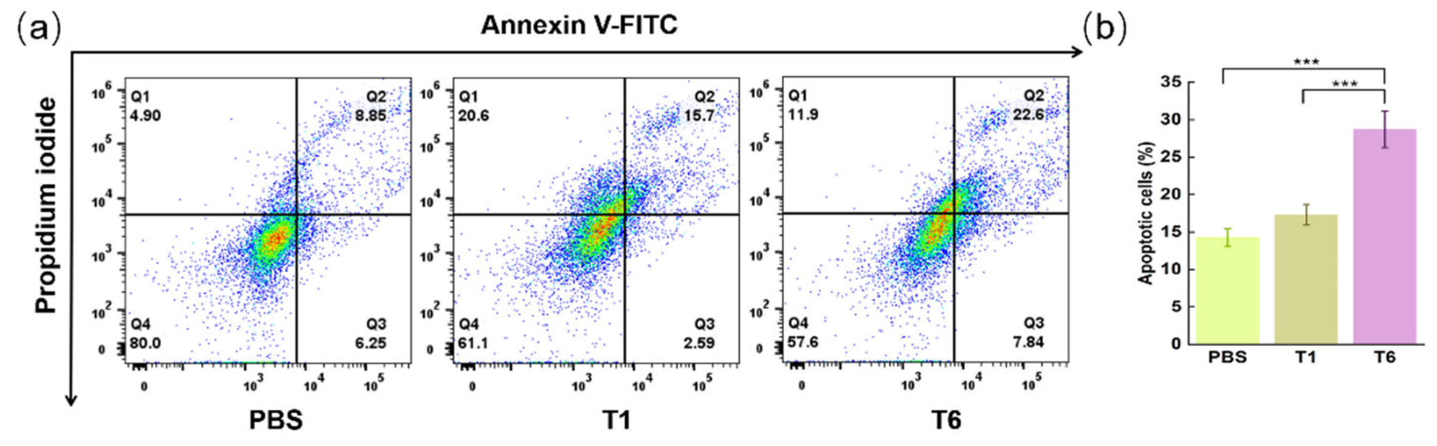 Pharmaceutics 15 01645 g007 Pharmaceutics 15 01645 g007