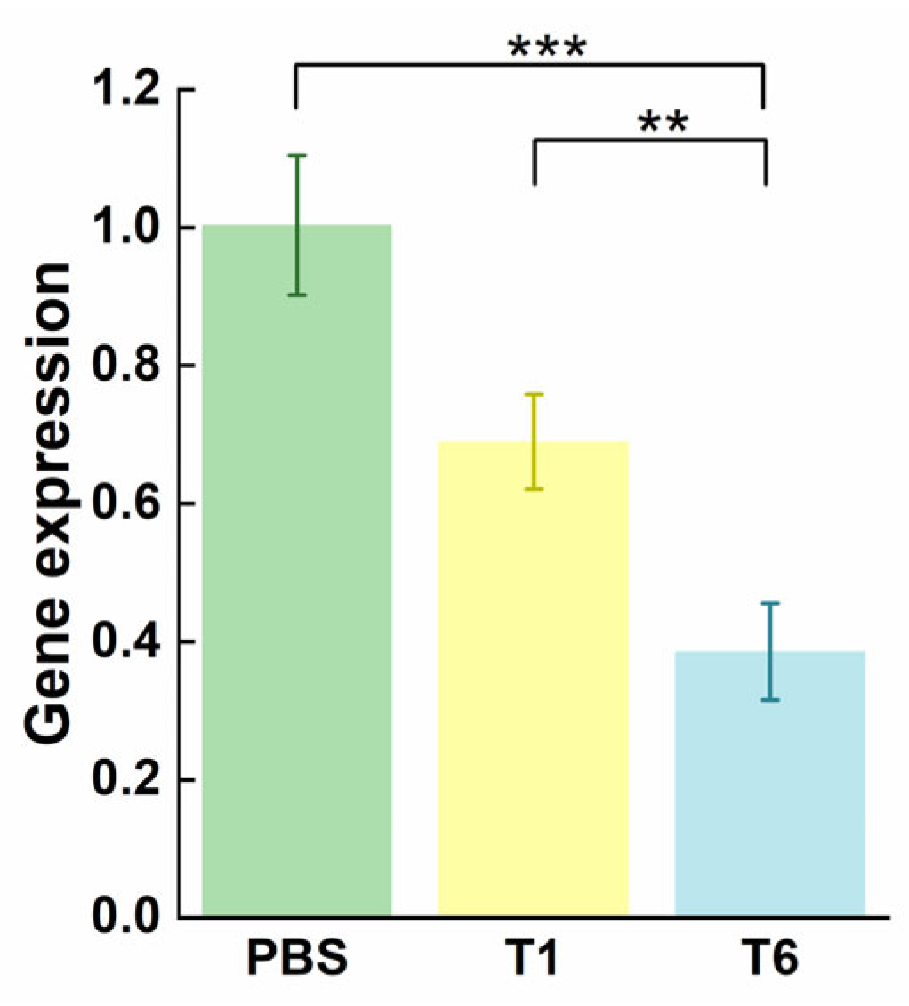 Pharmaceutics 15 01645 g008 Pharmaceutics 15 01645 g008