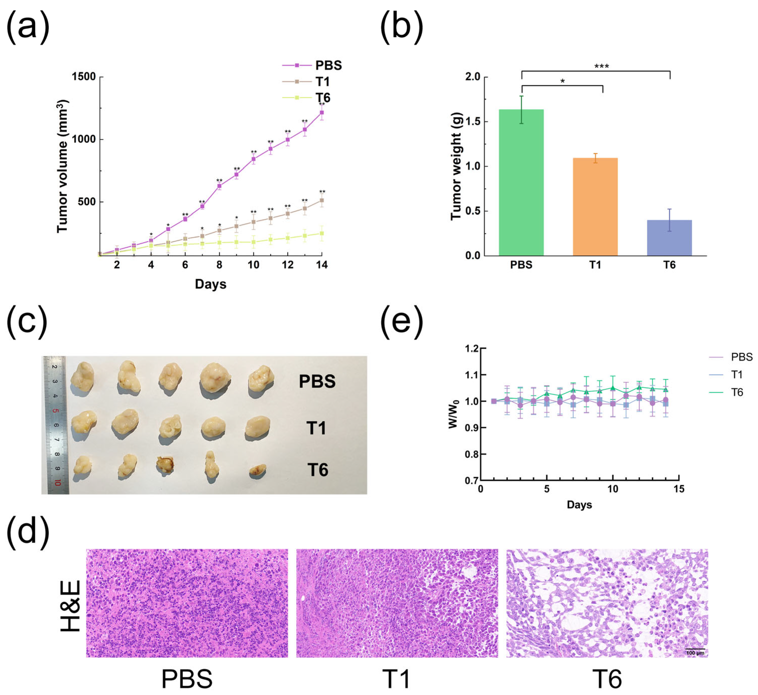 Pharmaceutics 15 01645 g009 Pharmaceutics 15 01645 g009