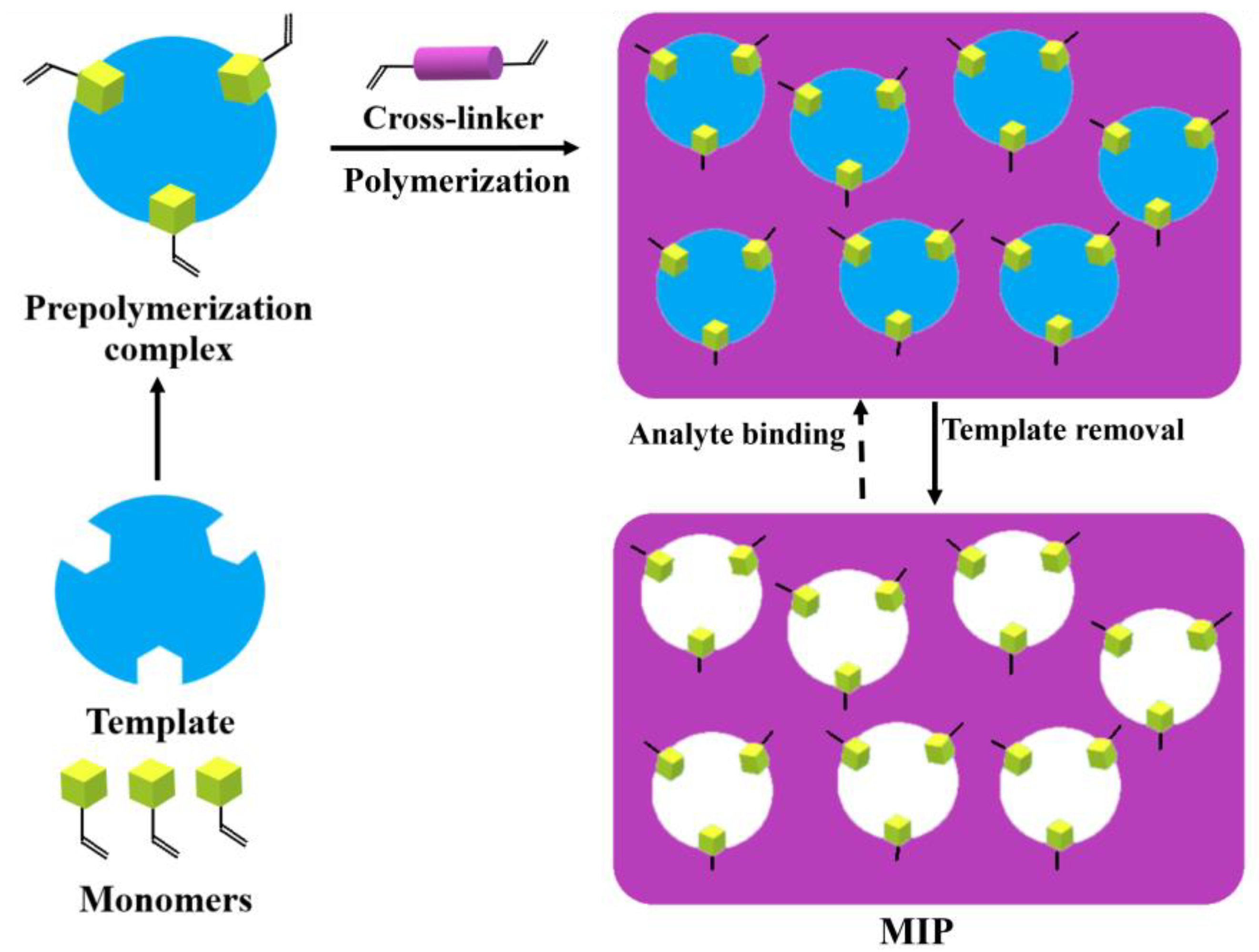 Pharmaceutics 15 01647 g001 Pharmaceutics 15 01647 g001