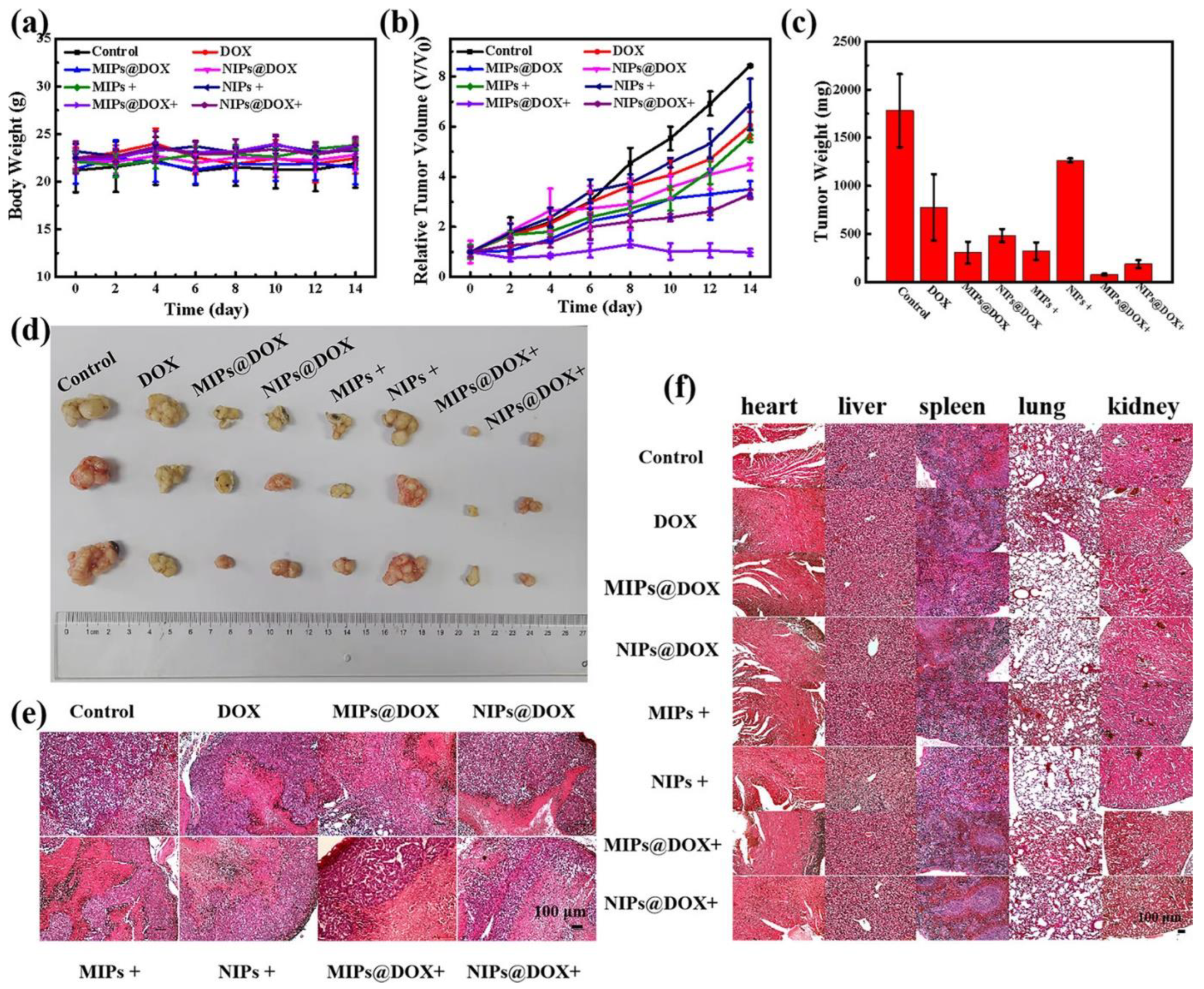 Pharmaceutics 15 01647 g007 Pharmaceutics 15 01647 g007