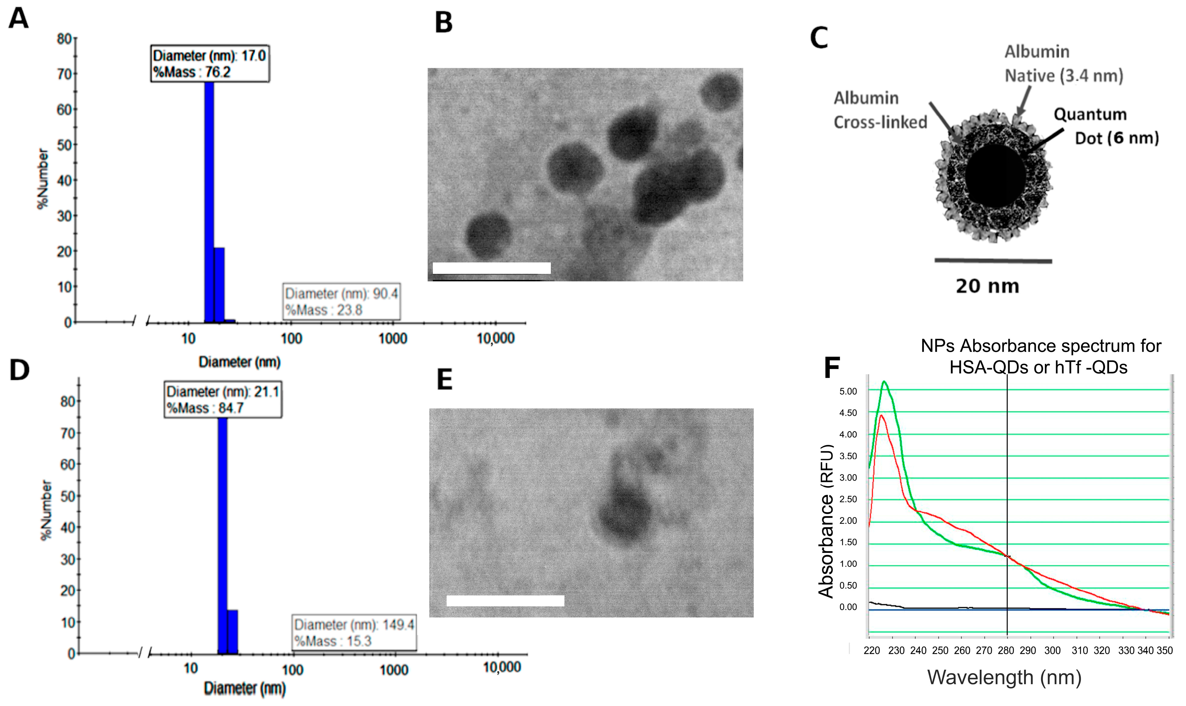 Pharmaceutics 15 01651 g002 Pharmaceutics 15 01651 g002