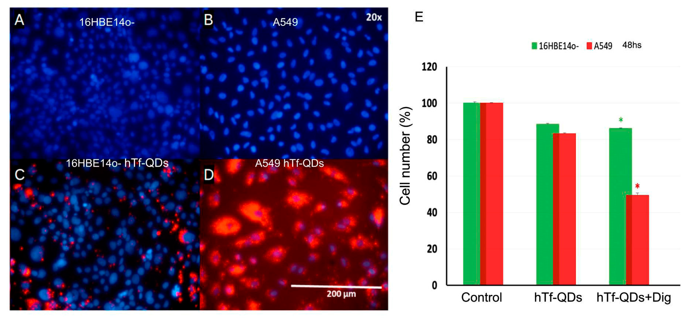 Pharmaceutics 15 01651 g009 Pharmaceutics 15 01651 g009