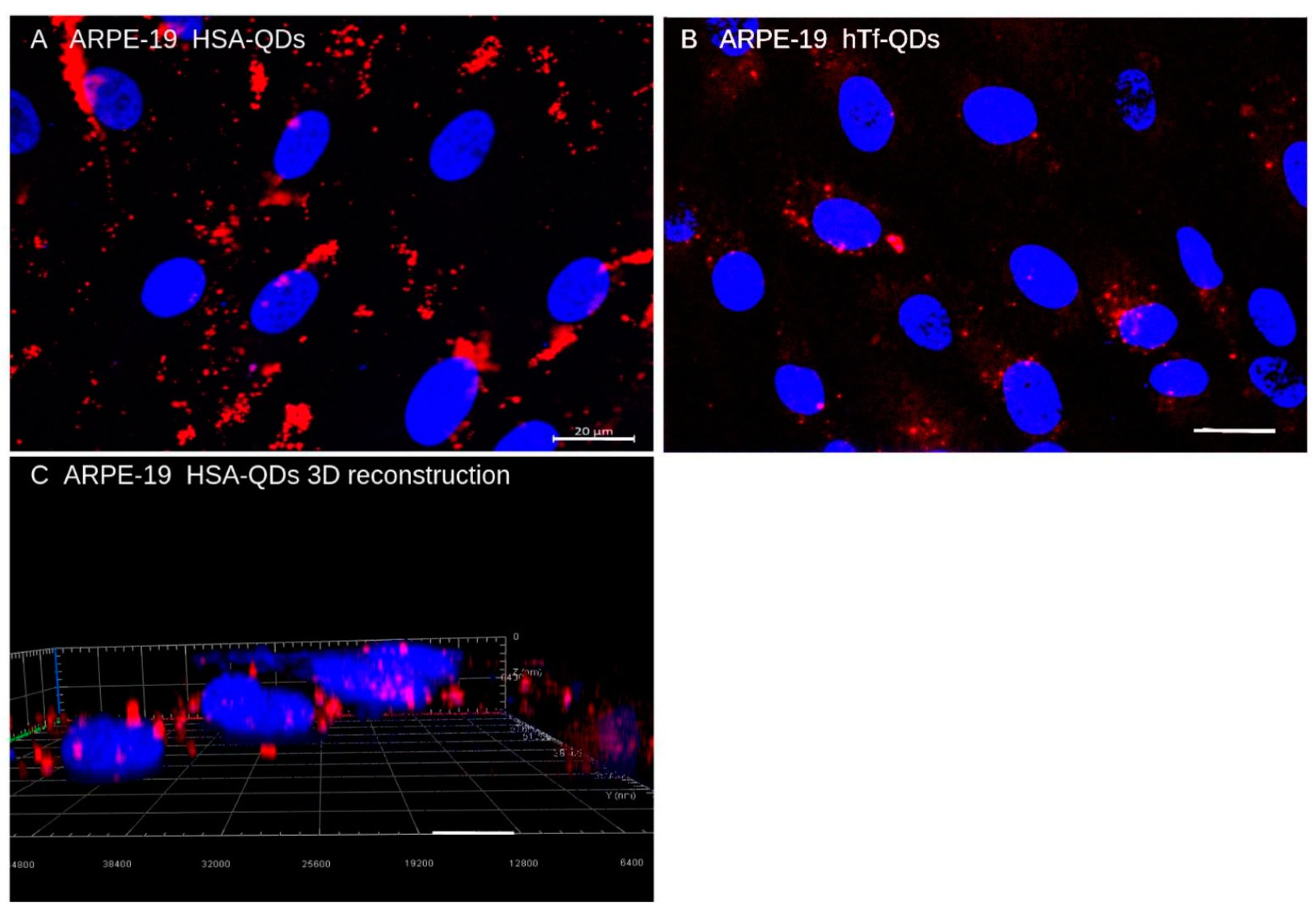 Pharmaceutics 15 01651 g010 Pharmaceutics 15 01651 g010