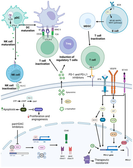 Combination Therapy as a Promising Way to Fight Oral Cancer