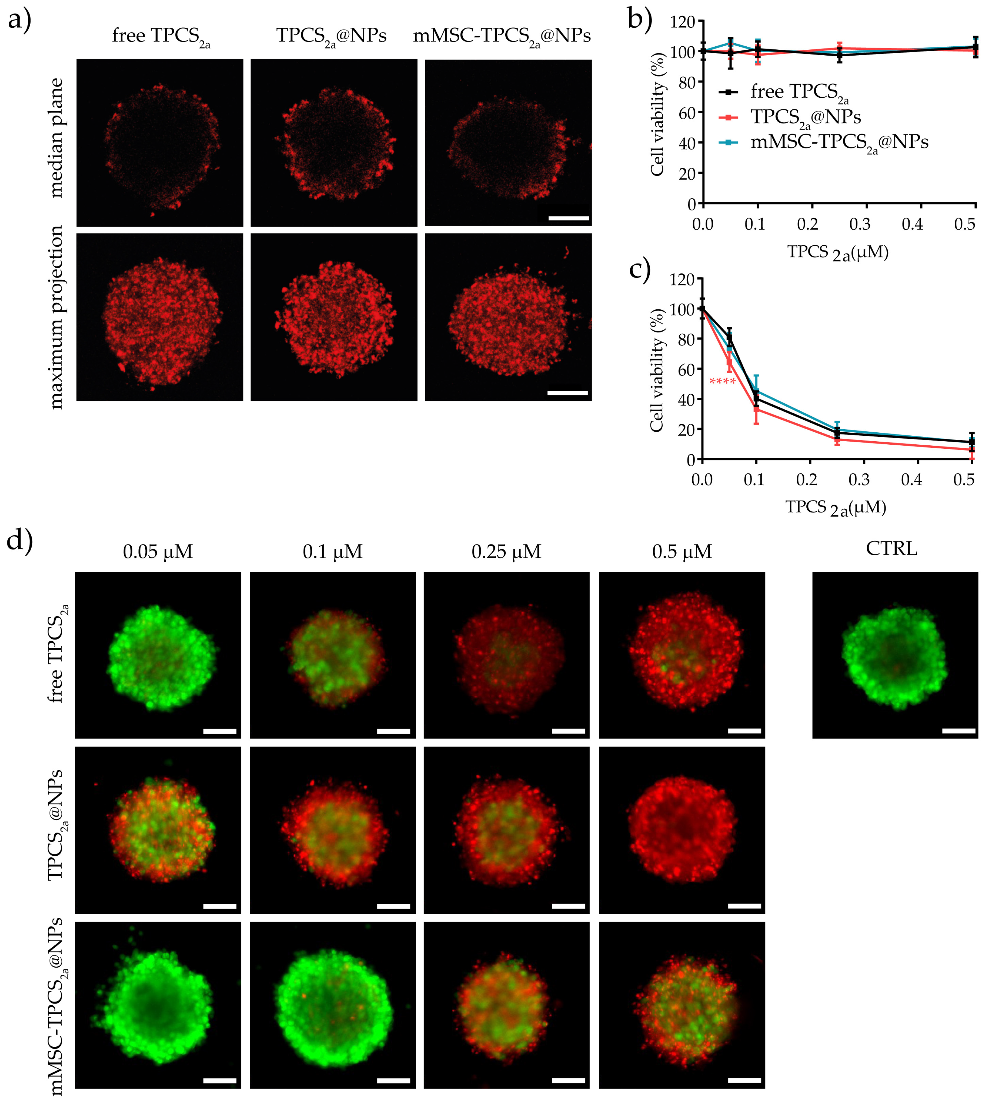 Pharmaceutics 15 01654 g006