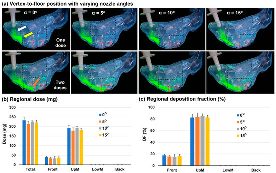 Visualization and Estimation of Nasal Spray Delivery to Olfactory ...