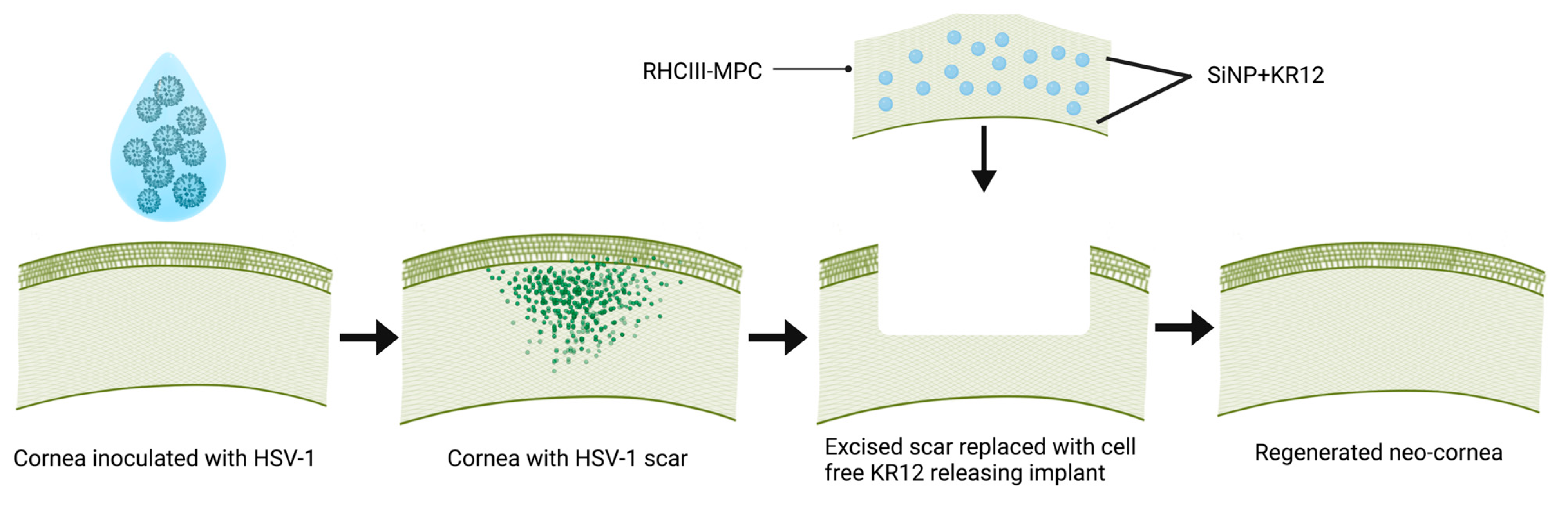 Pharmaceutics 15 01658 g001 Pharmaceutics 15 01658 g001