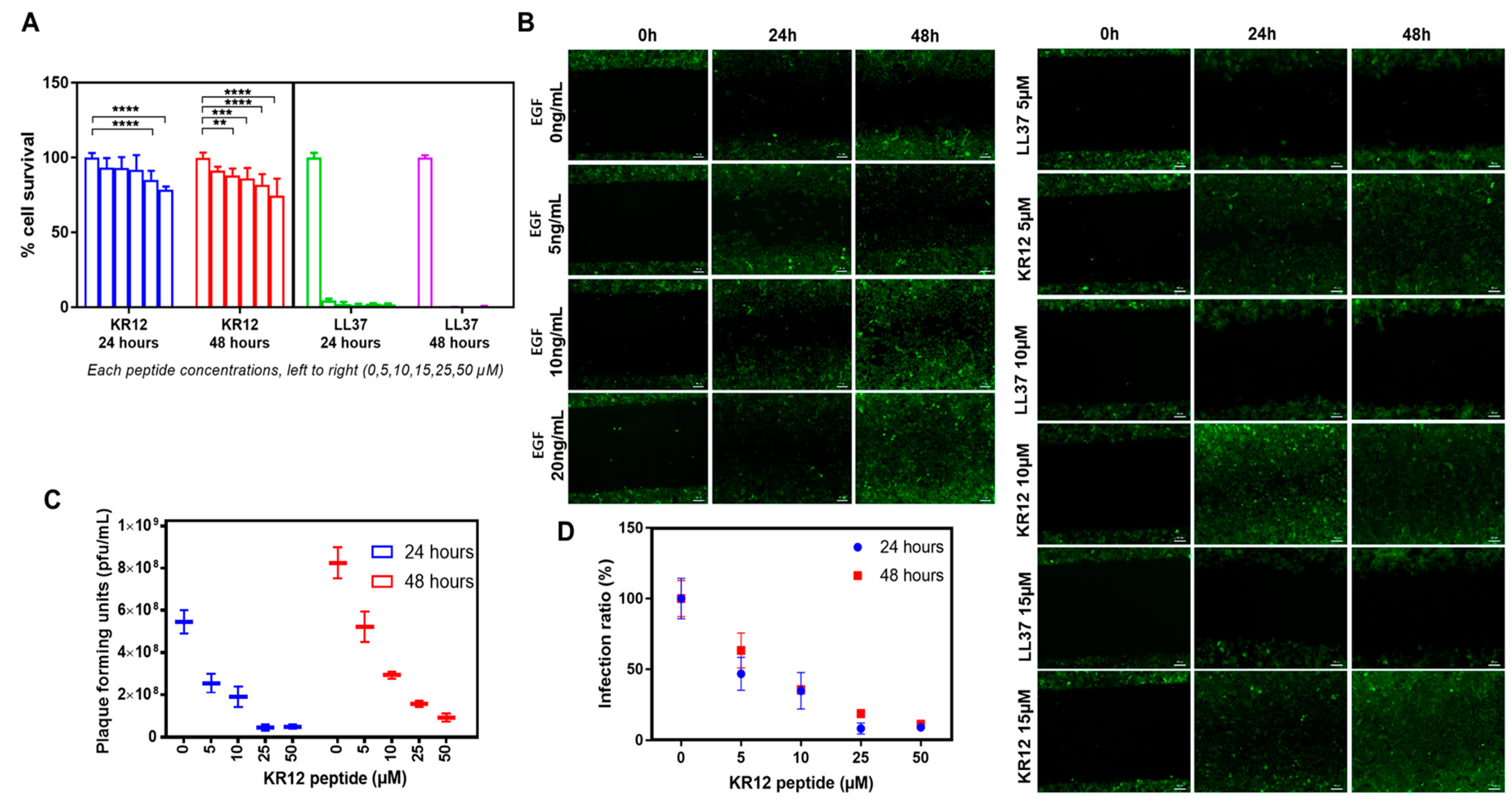 Pharmaceutics 15 01658 g002 Pharmaceutics 15 01658 g002