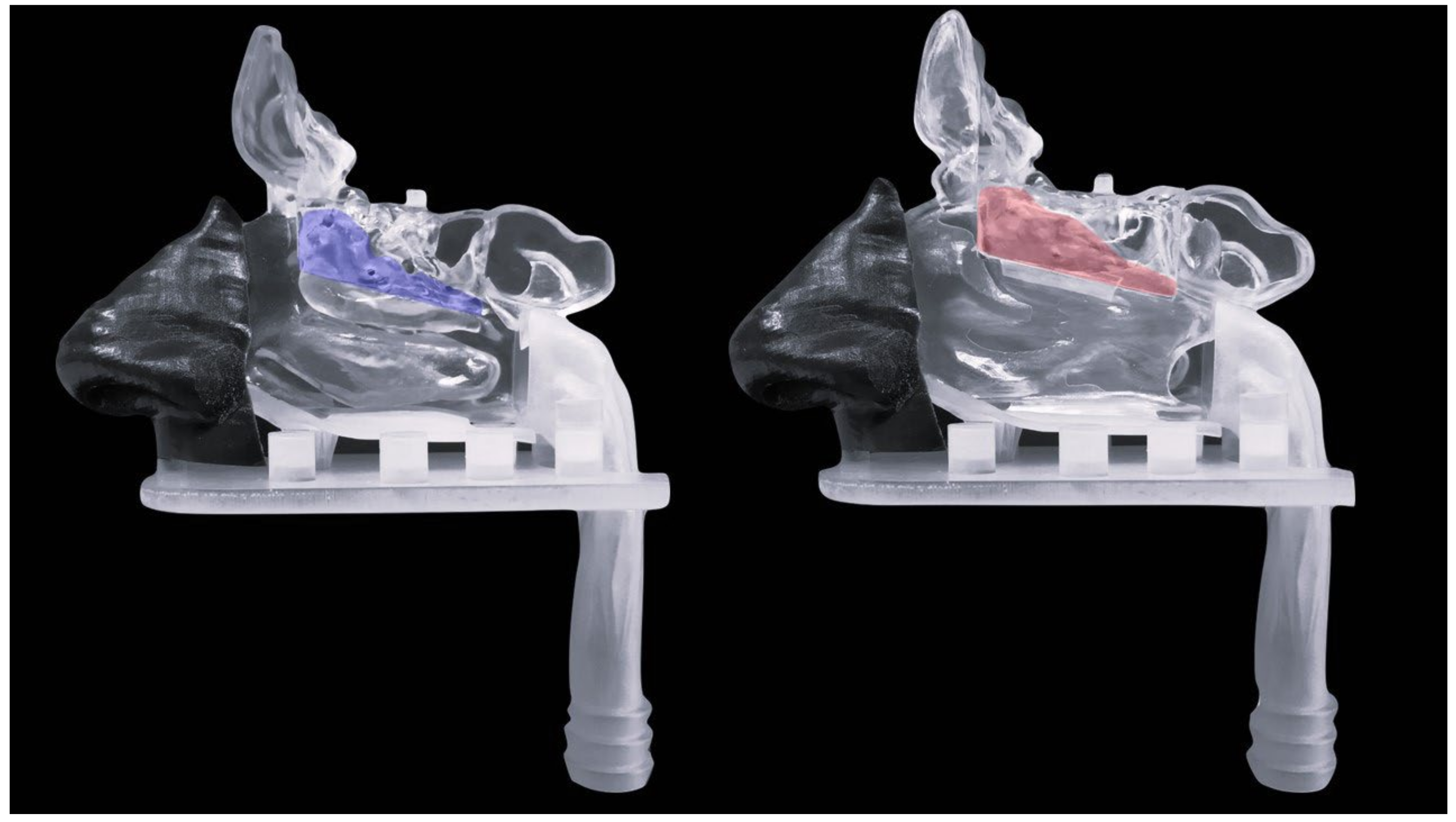 Pharmaceutics 15 01660 g001