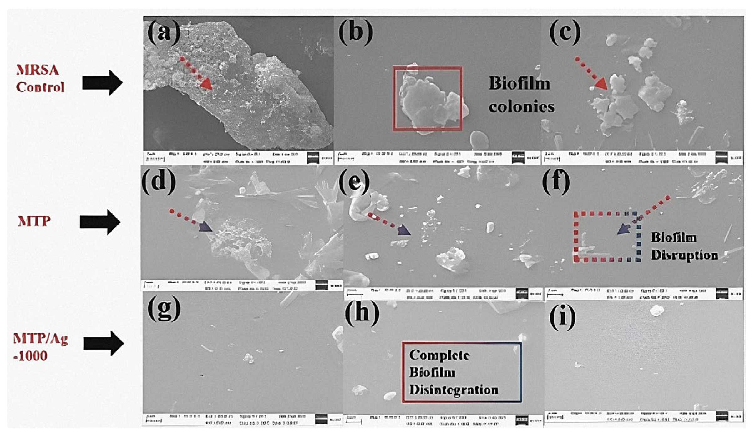 Pharmaceutics 15 01666 g011 Pharmaceutics 15 01666 g011