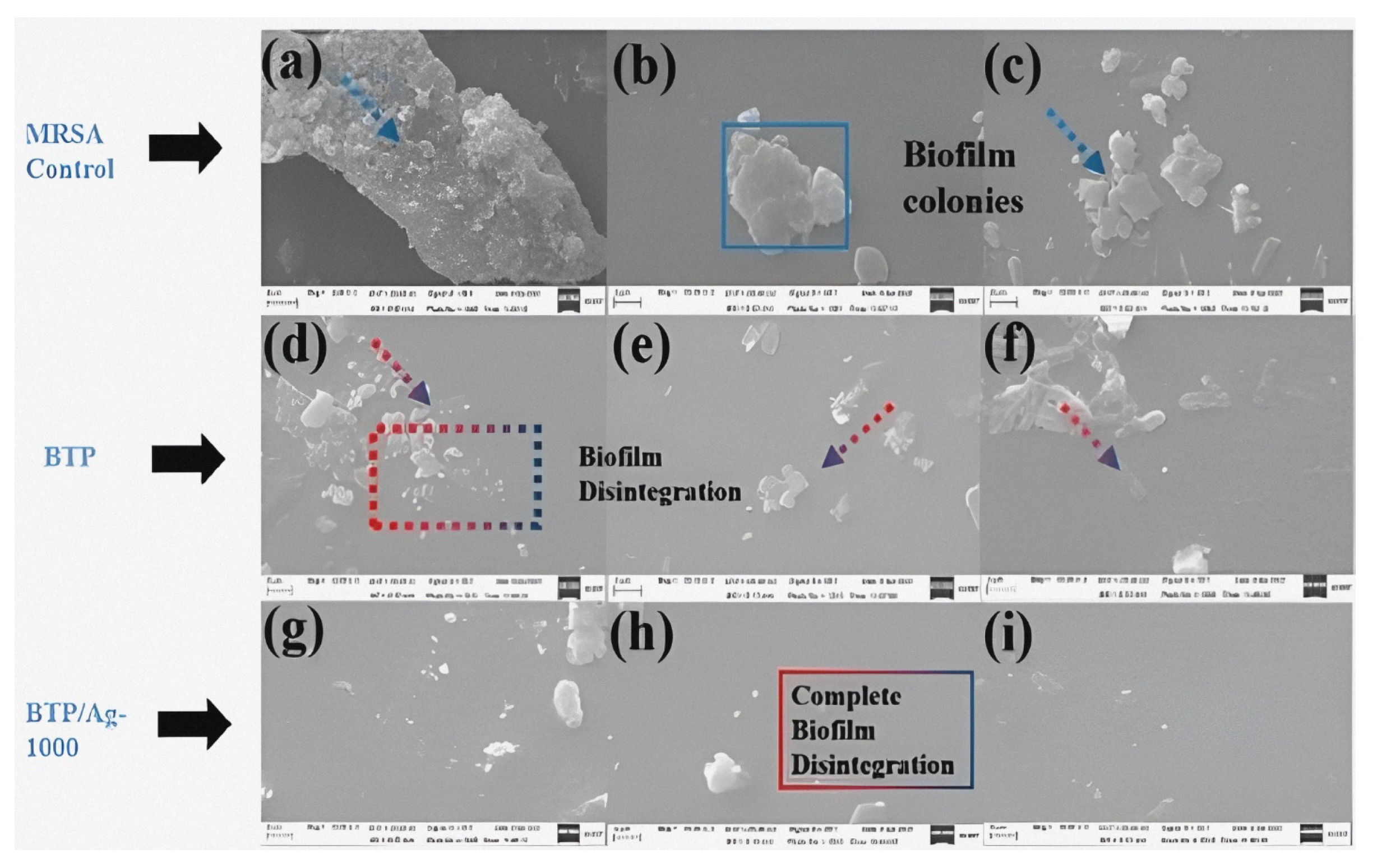 Pharmaceutics 15 01666 g012 Pharmaceutics 15 01666 g012