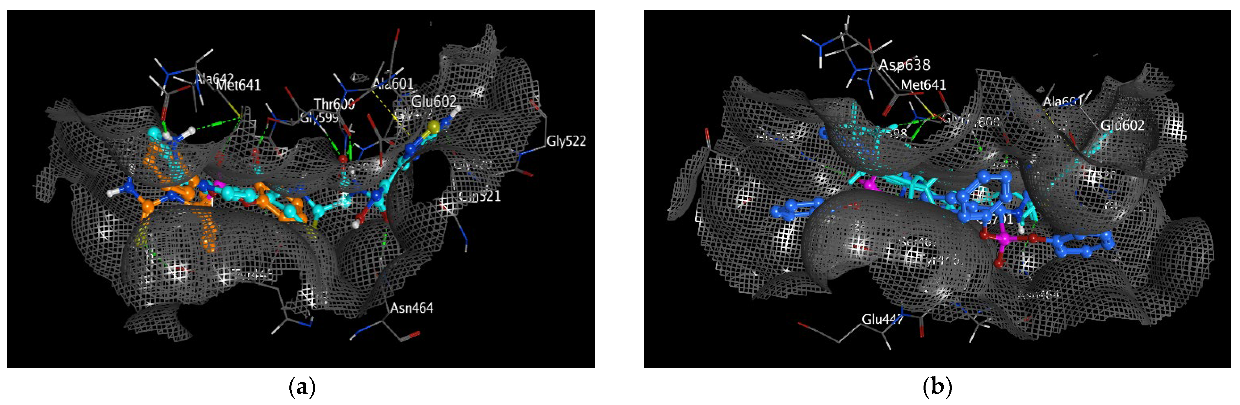 Pharmaceutics 15 01666 g014a Pharmaceutics 15 01666 g014a