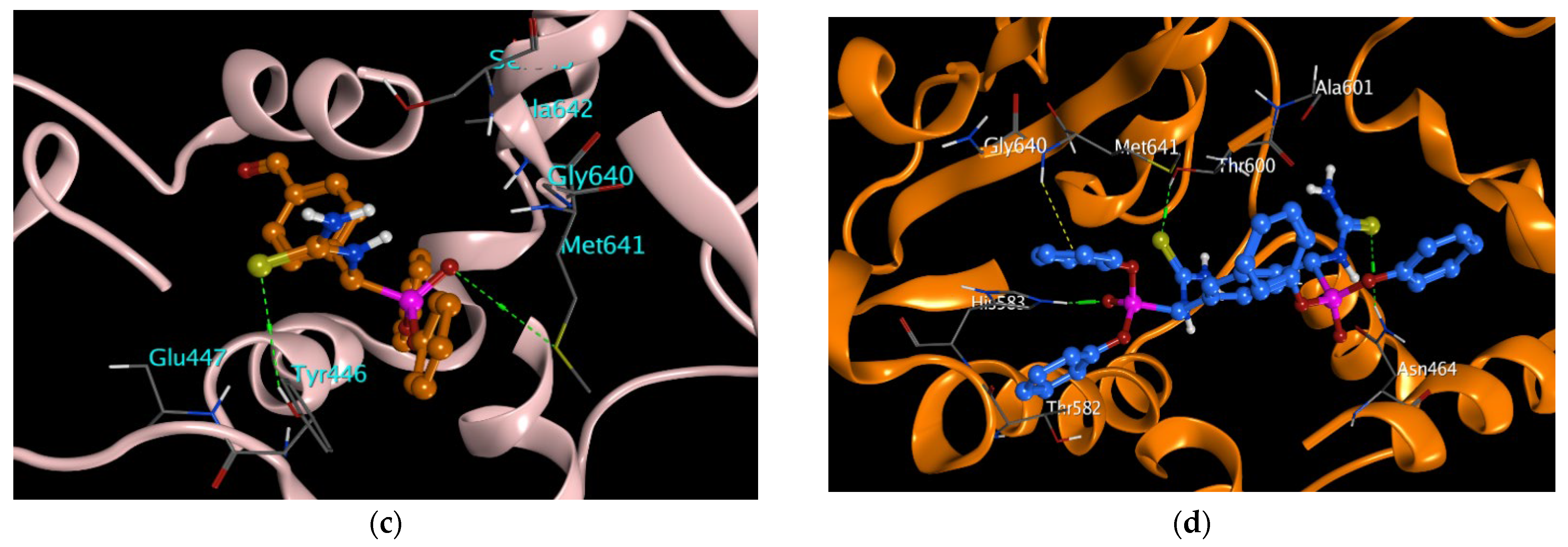 Pharmaceutics 15 01666 g014b Pharmaceutics 15 01666 g014b