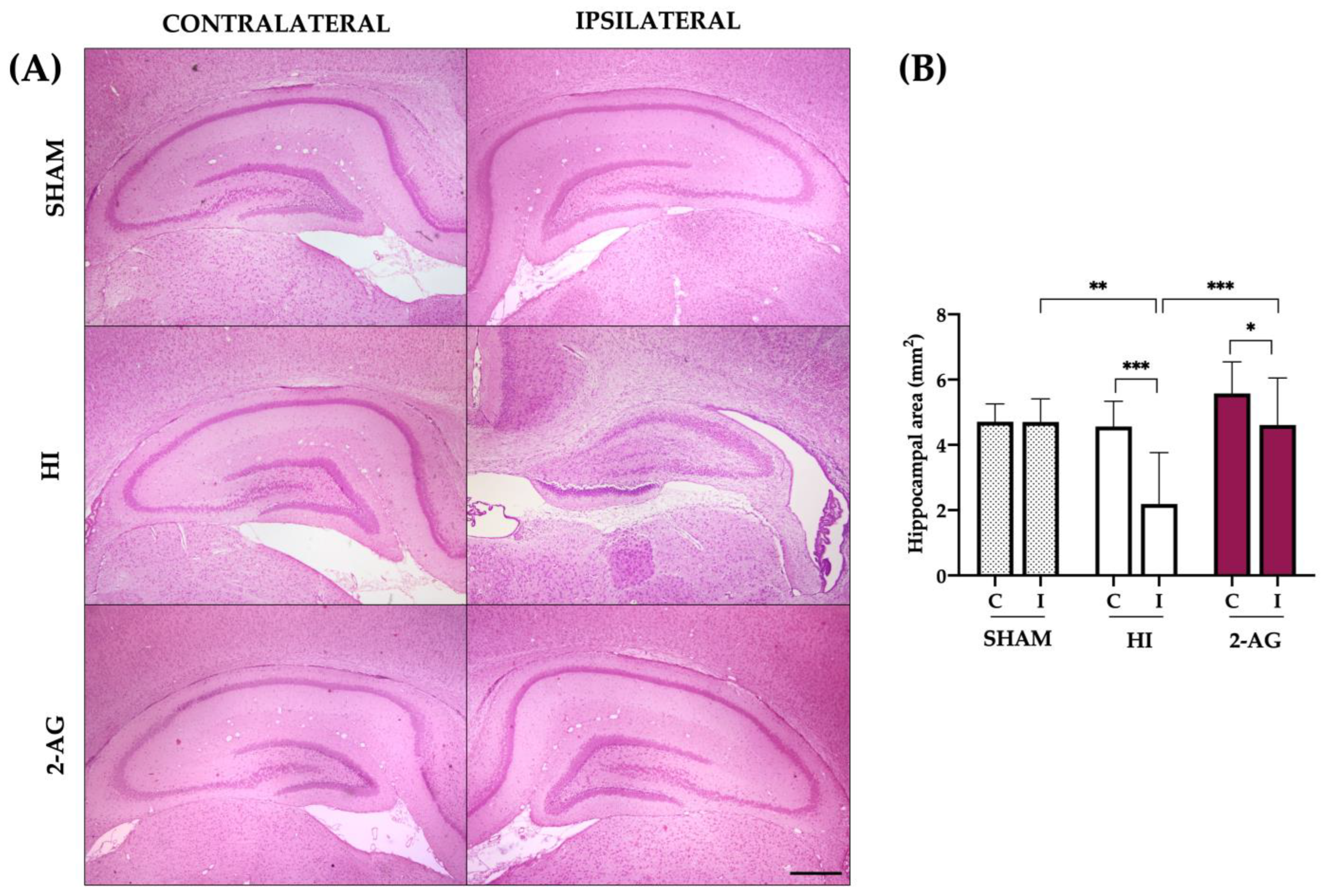 Pharmaceutics 15 01667 g002 Pharmaceutics 15 01667 g002