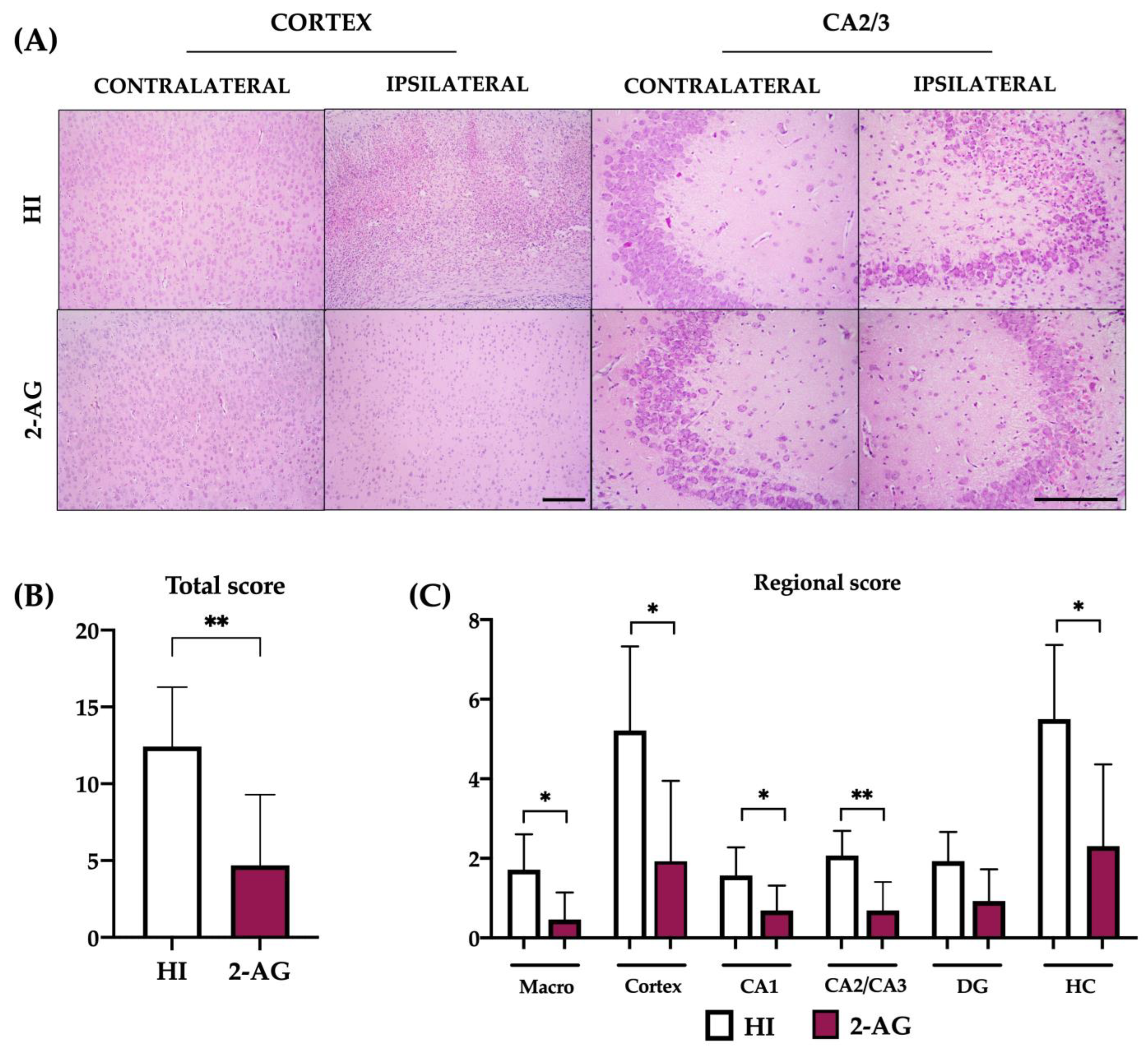 Pharmaceutics 15 01667 g003 Pharmaceutics 15 01667 g003