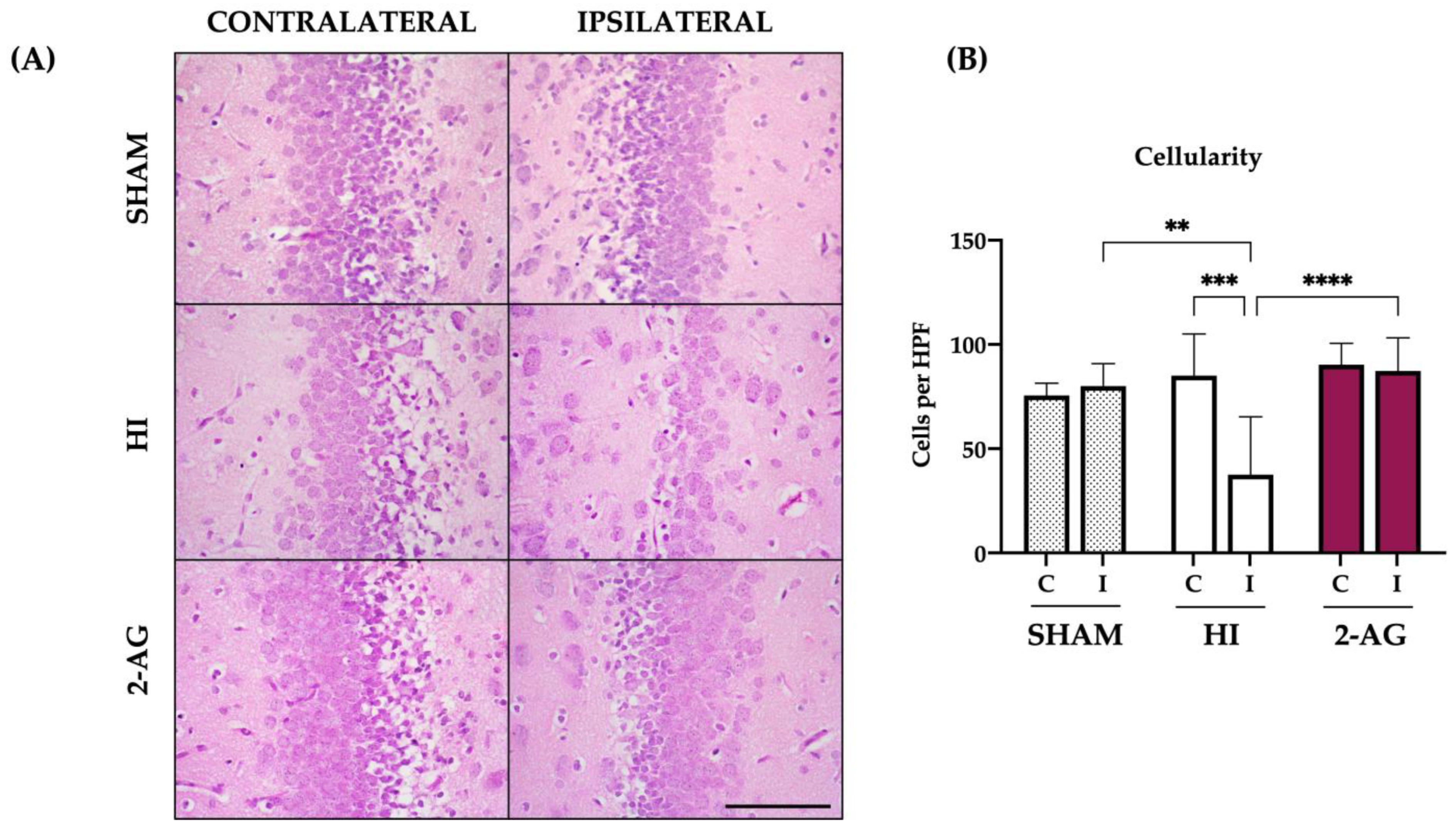 Pharmaceutics 15 01667 g004 Pharmaceutics 15 01667 g004