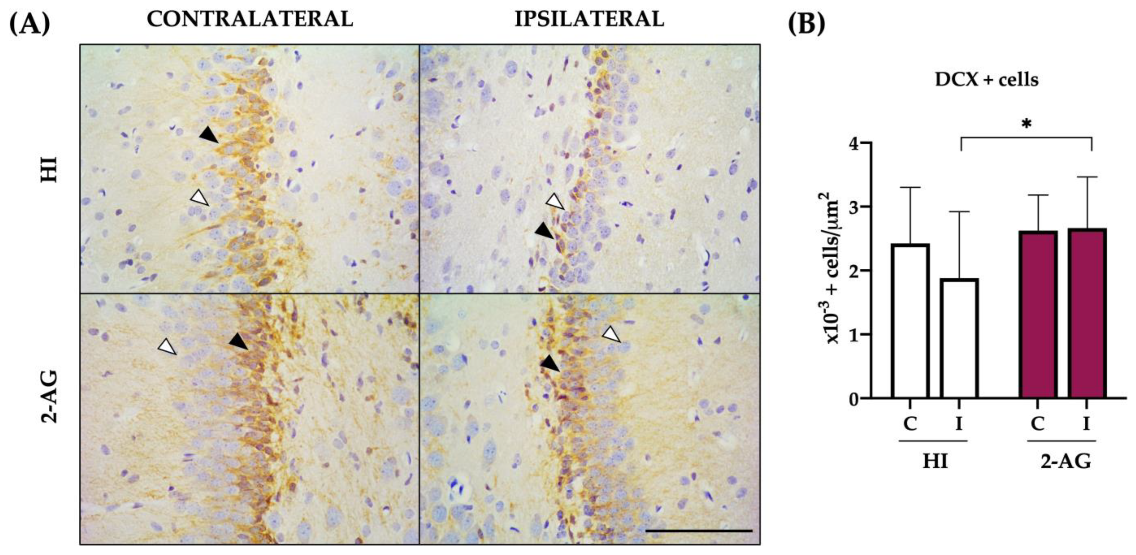 Pharmaceutics 15 01667 g006 Pharmaceutics 15 01667 g006
