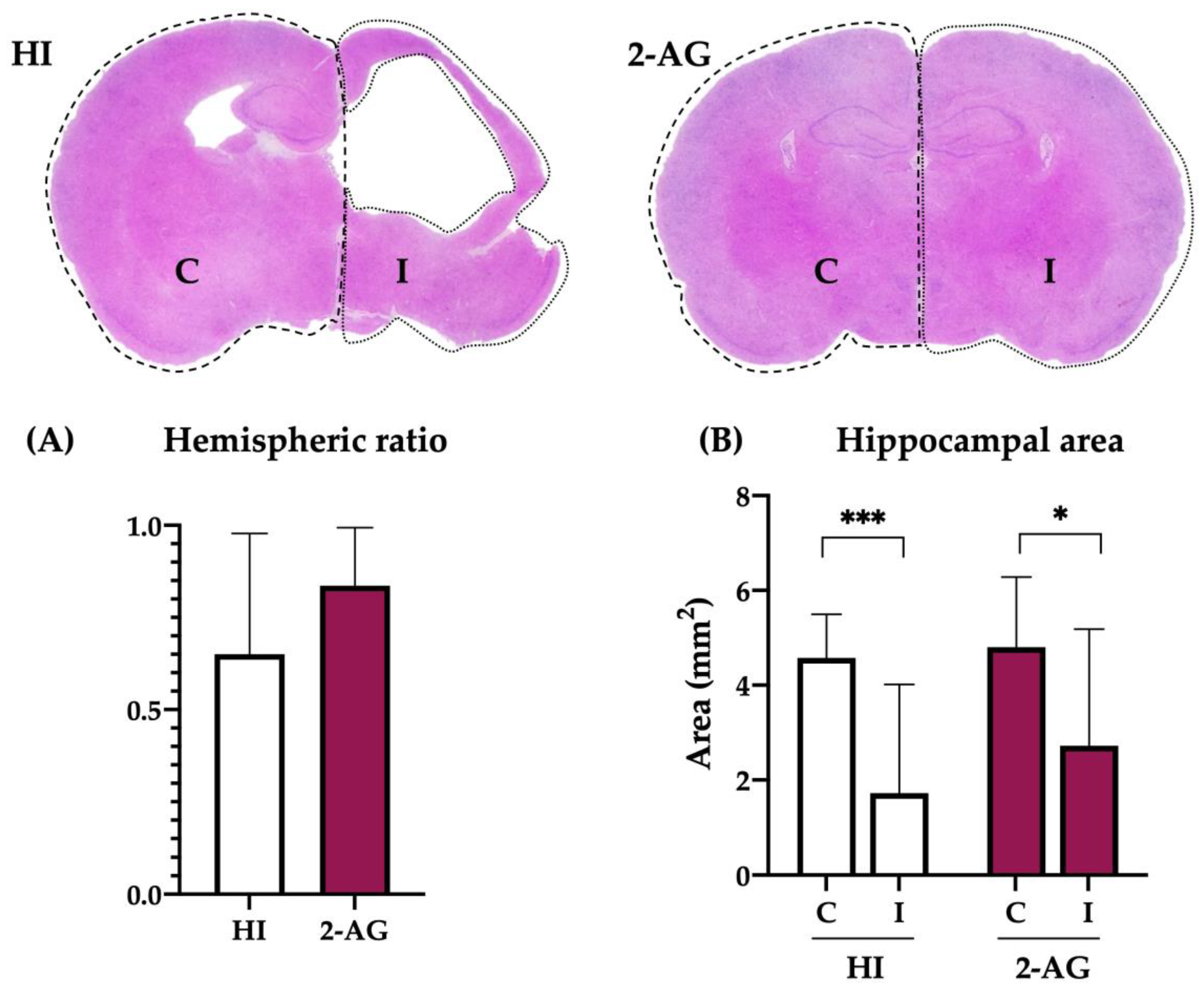 Pharmaceutics 15 01667 g007 Pharmaceutics 15 01667 g007