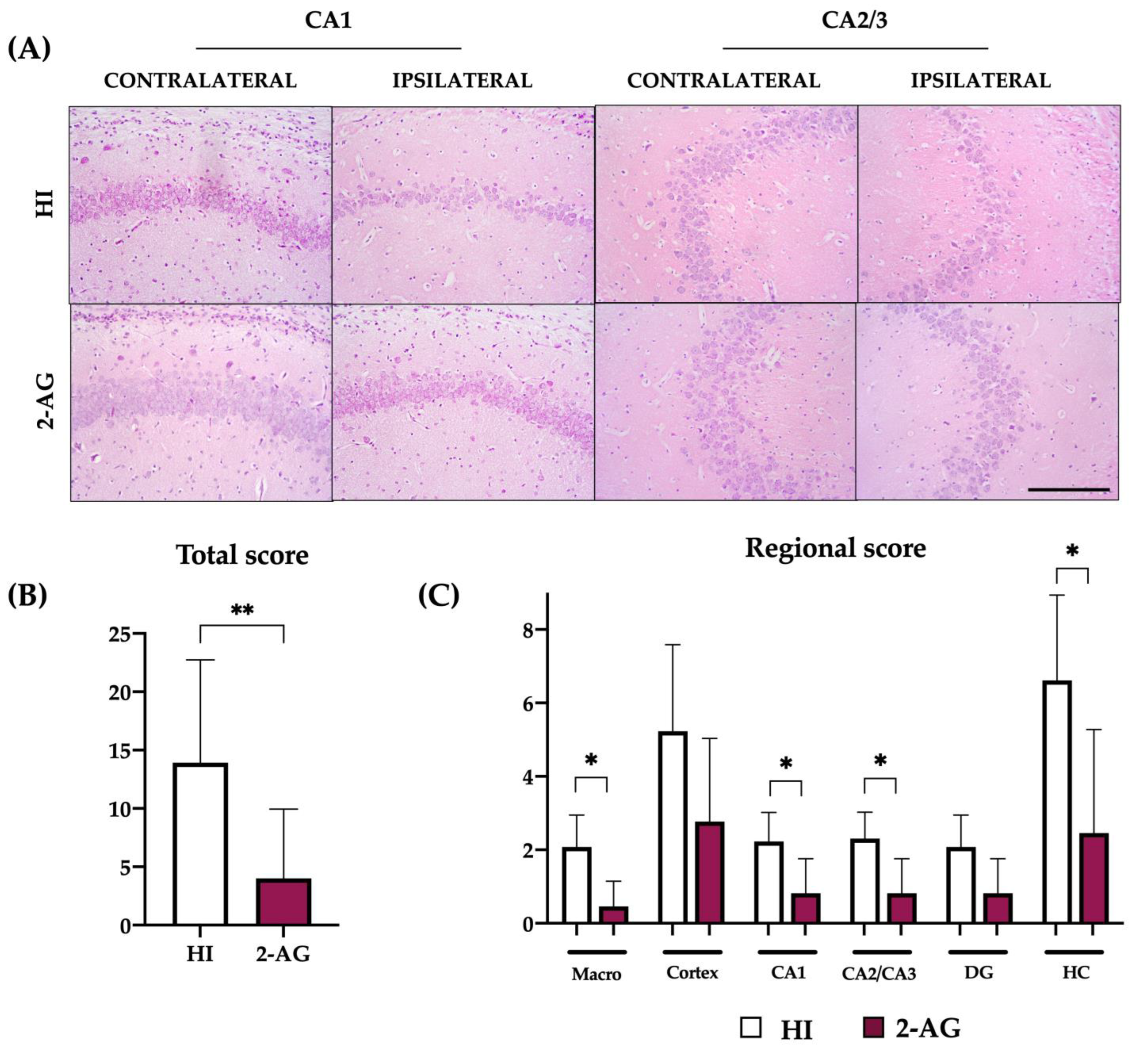 Pharmaceutics 15 01667 g008 Pharmaceutics 15 01667 g008
