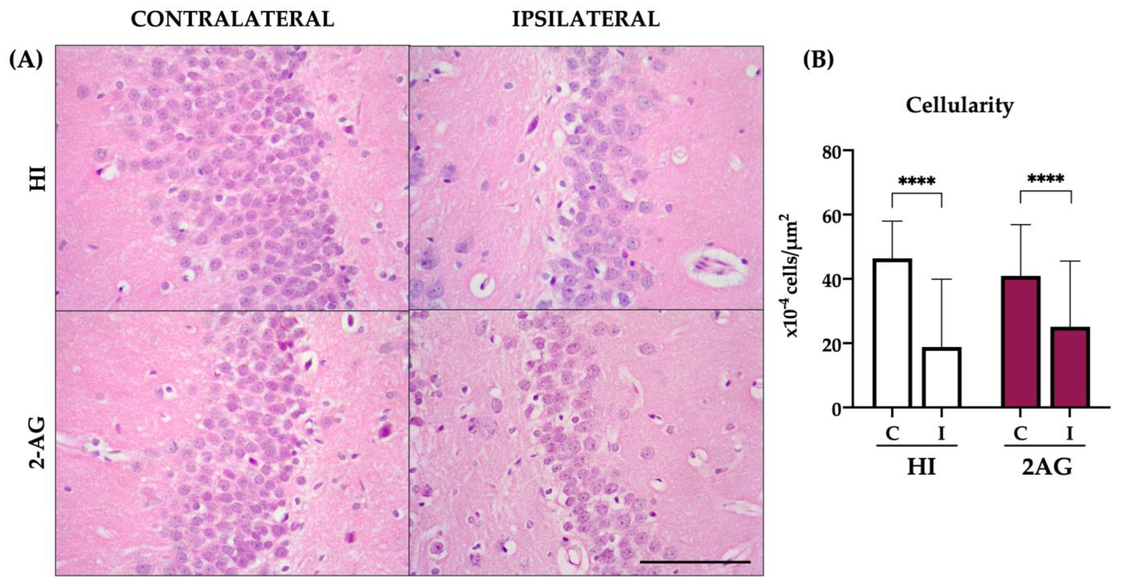 Pharmaceutics 15 01667 g009 Pharmaceutics 15 01667 g009