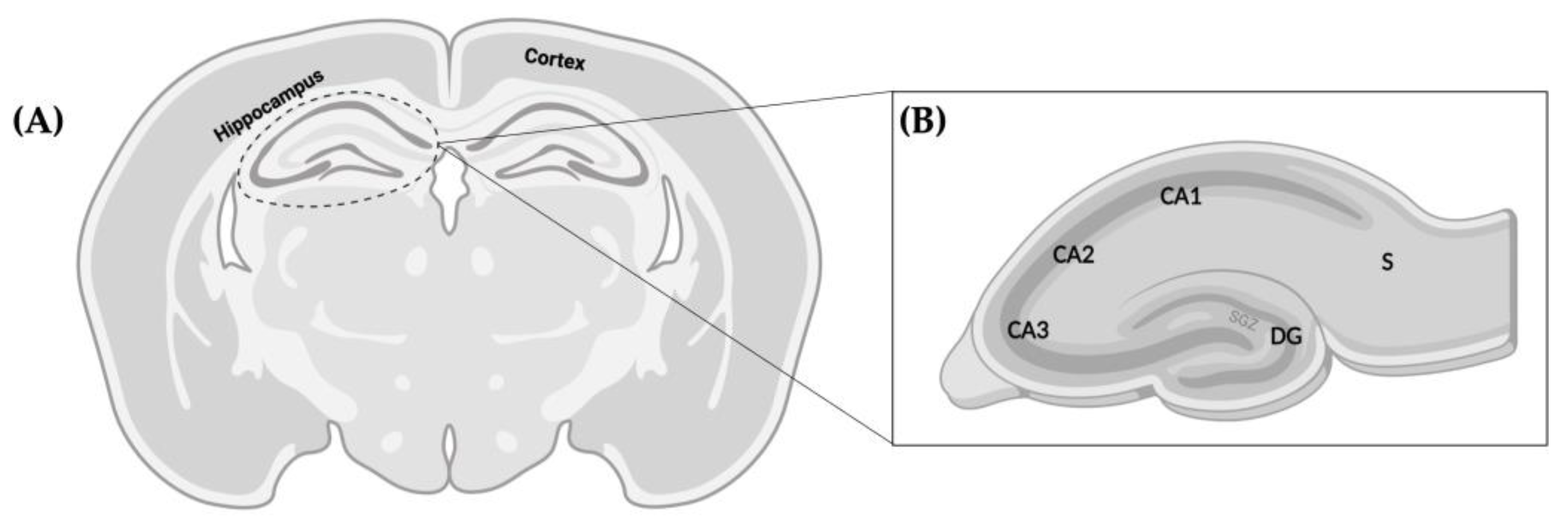 Pharmaceutics 15 01667 g010 Pharmaceutics 15 01667 g010