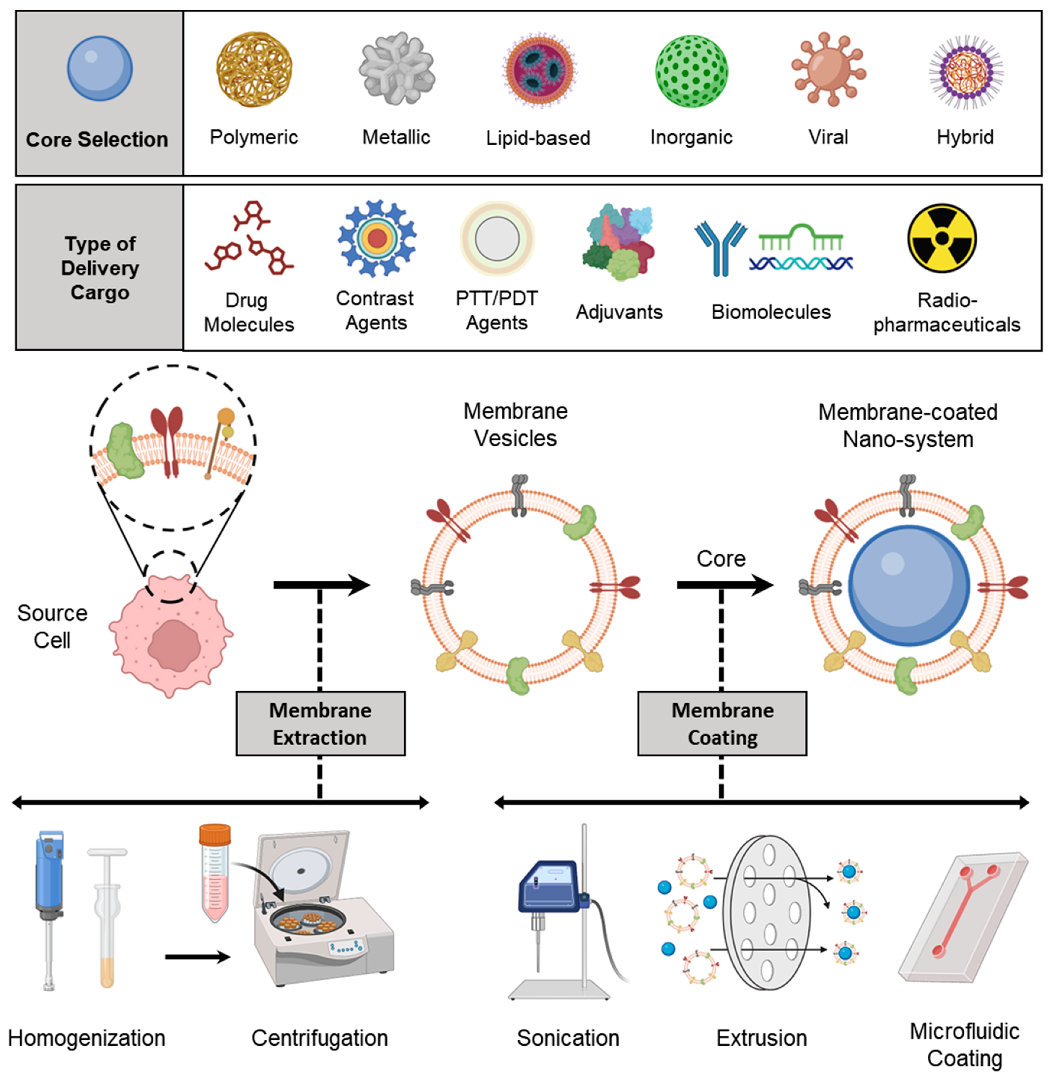 Pharmaceutics 15 01677 g002 Pharmaceutics 15 01677 g002