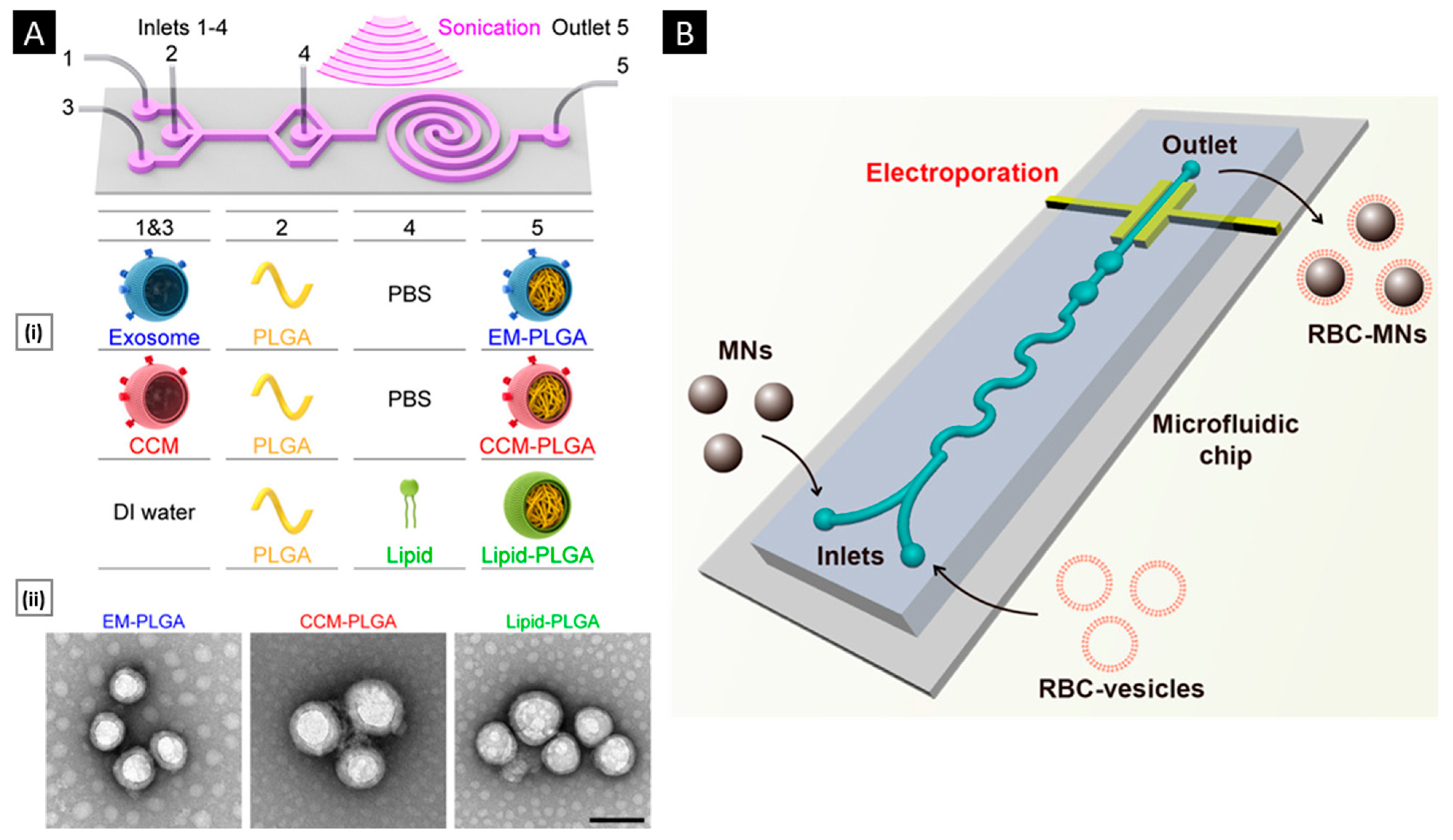 Pharmaceutics 15 01677 g005 Pharmaceutics 15 01677 g005