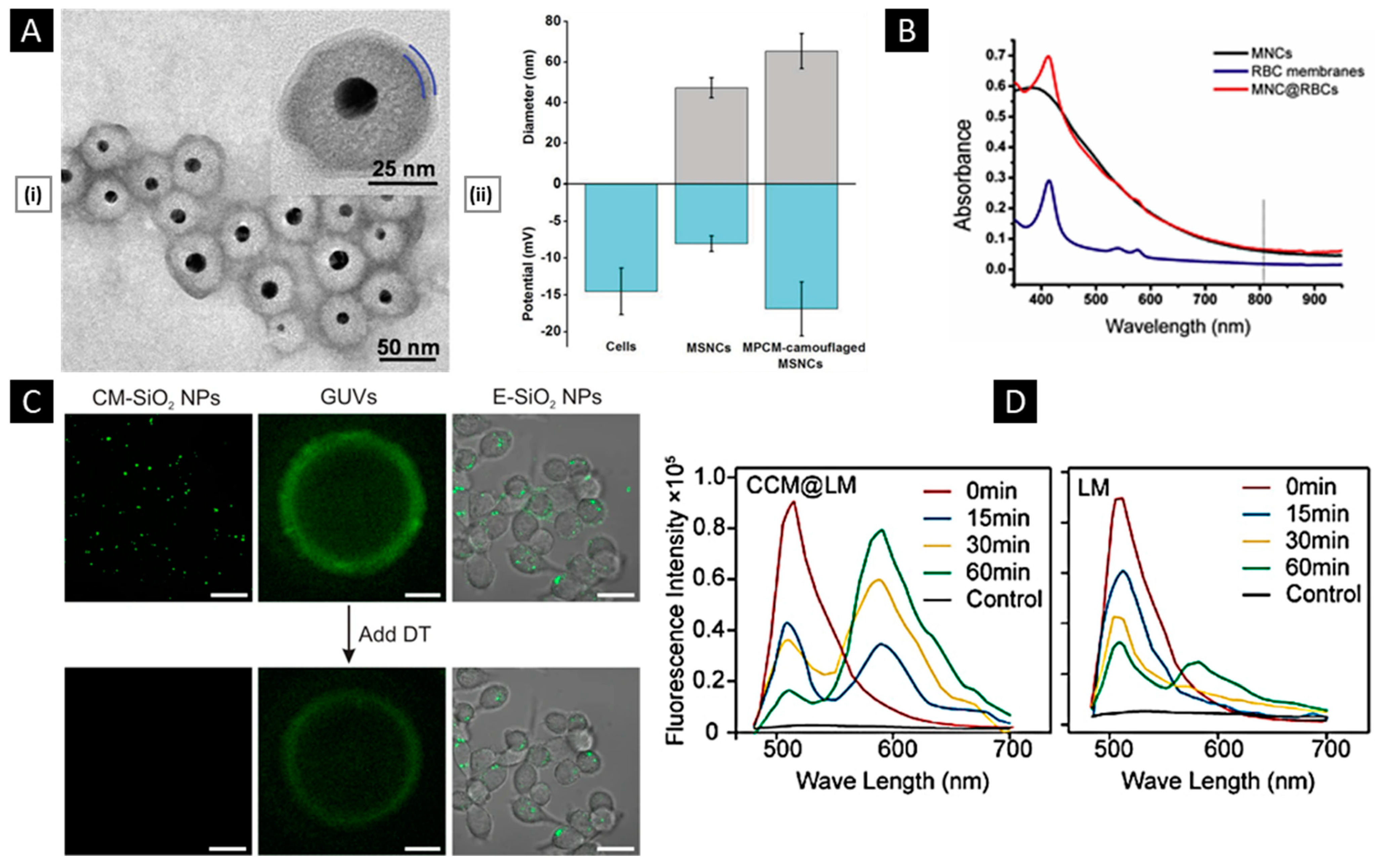 Pharmaceutics 15 01677 g006 Pharmaceutics 15 01677 g006