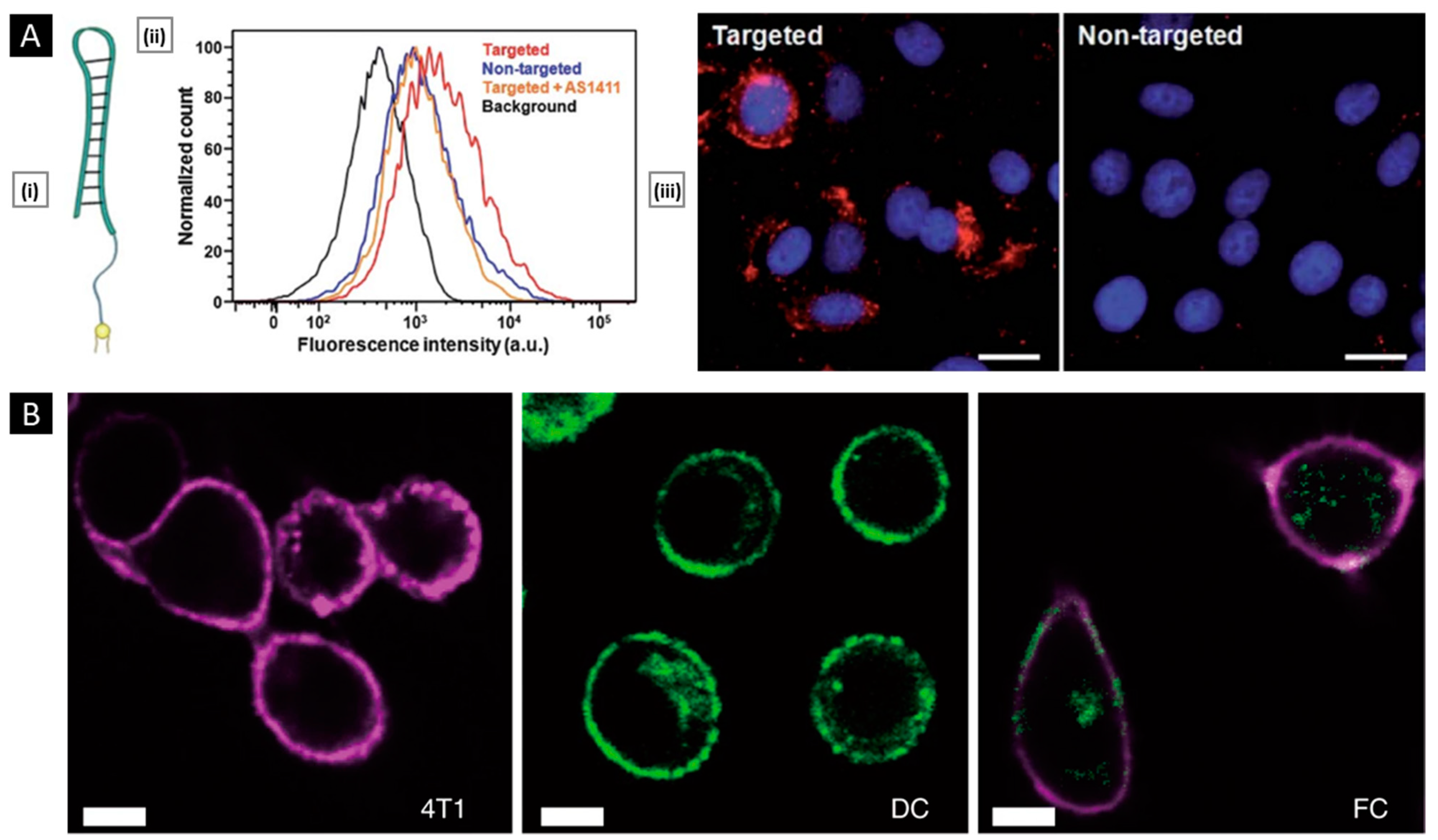 Pharmaceutics 15 01677 g009 Pharmaceutics 15 01677 g009