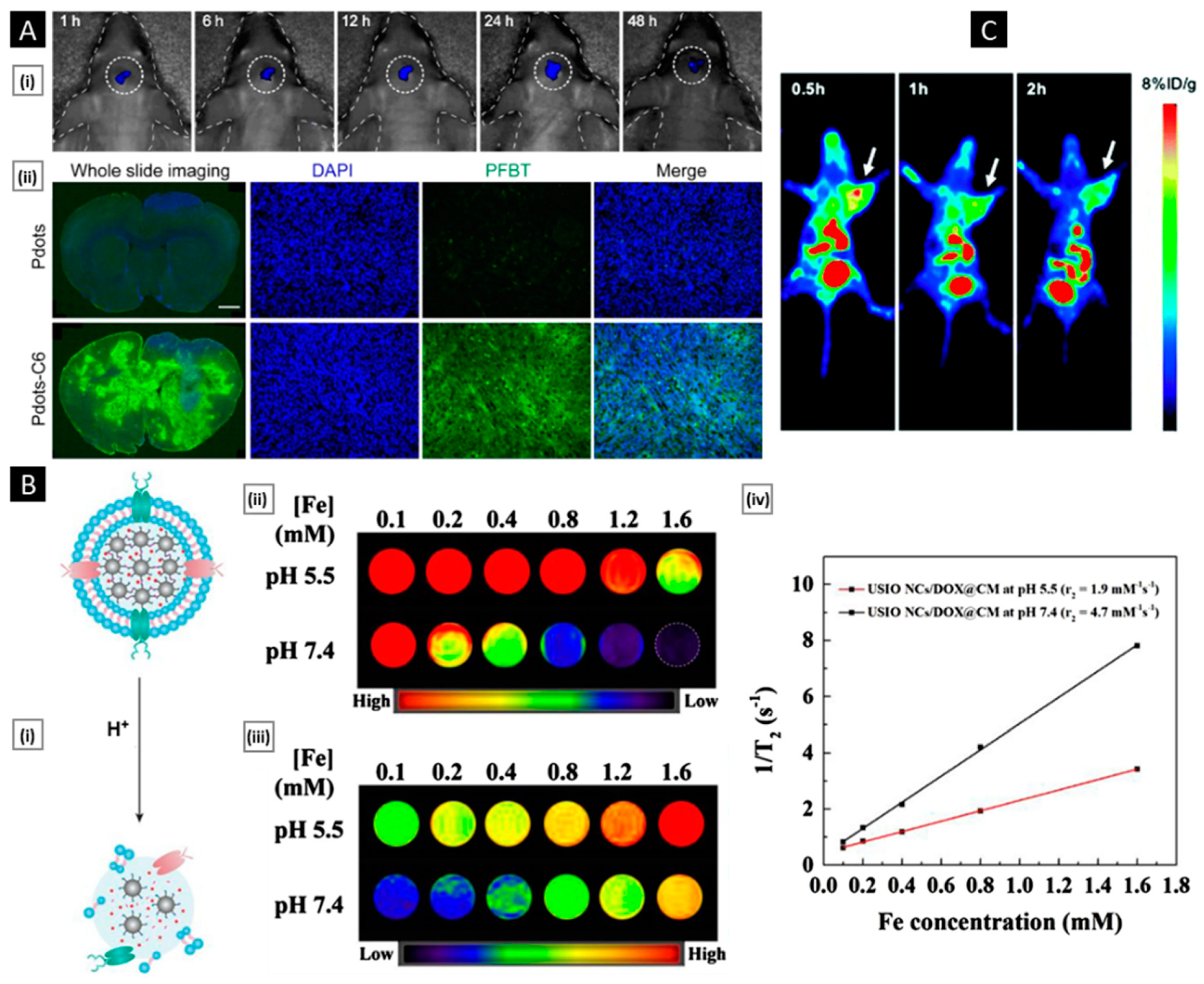 Pharmaceutics 15 01677 g012 Pharmaceutics 15 01677 g012