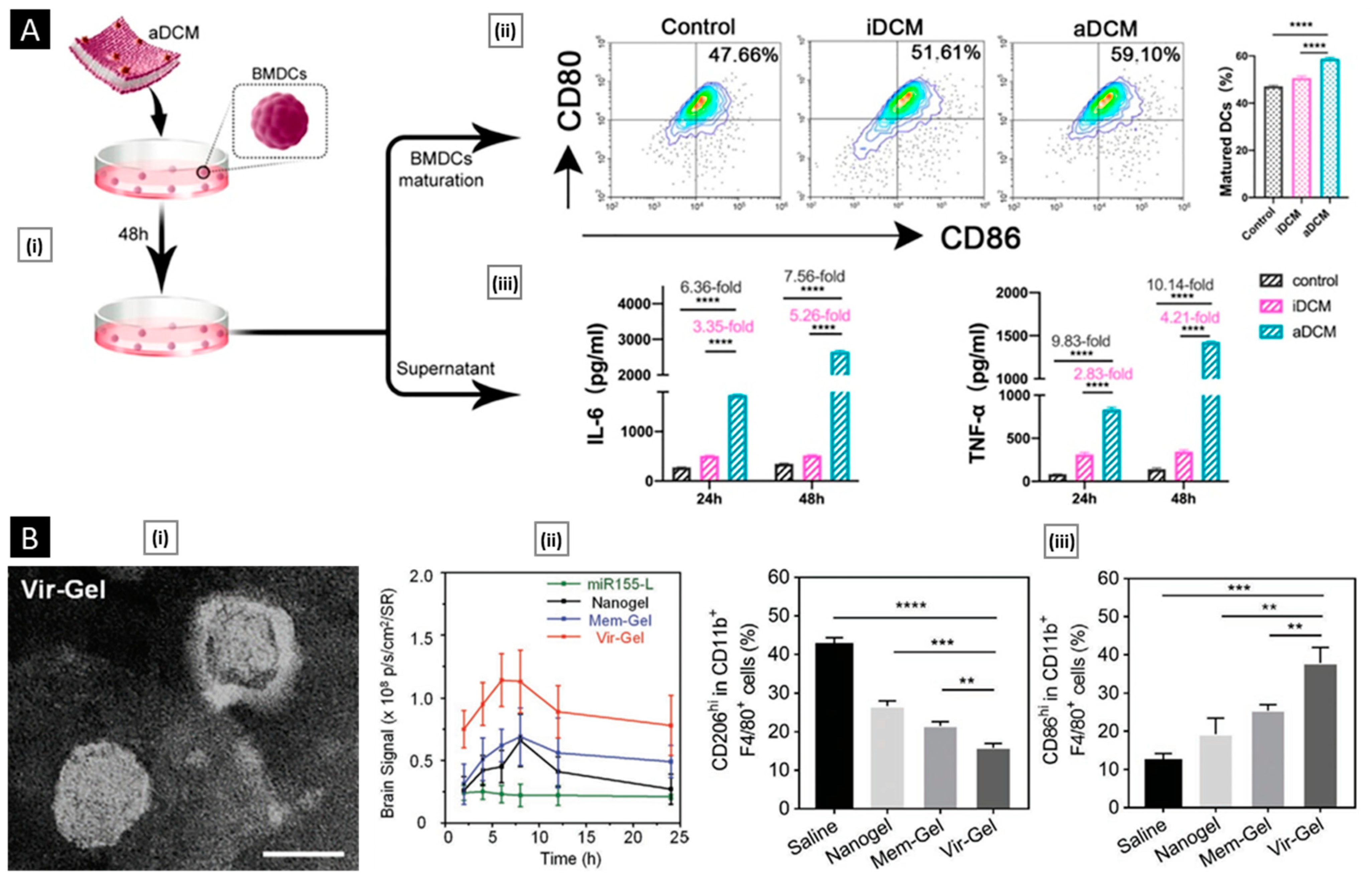 Pharmaceutics 15 01677 g014 Pharmaceutics 15 01677 g014