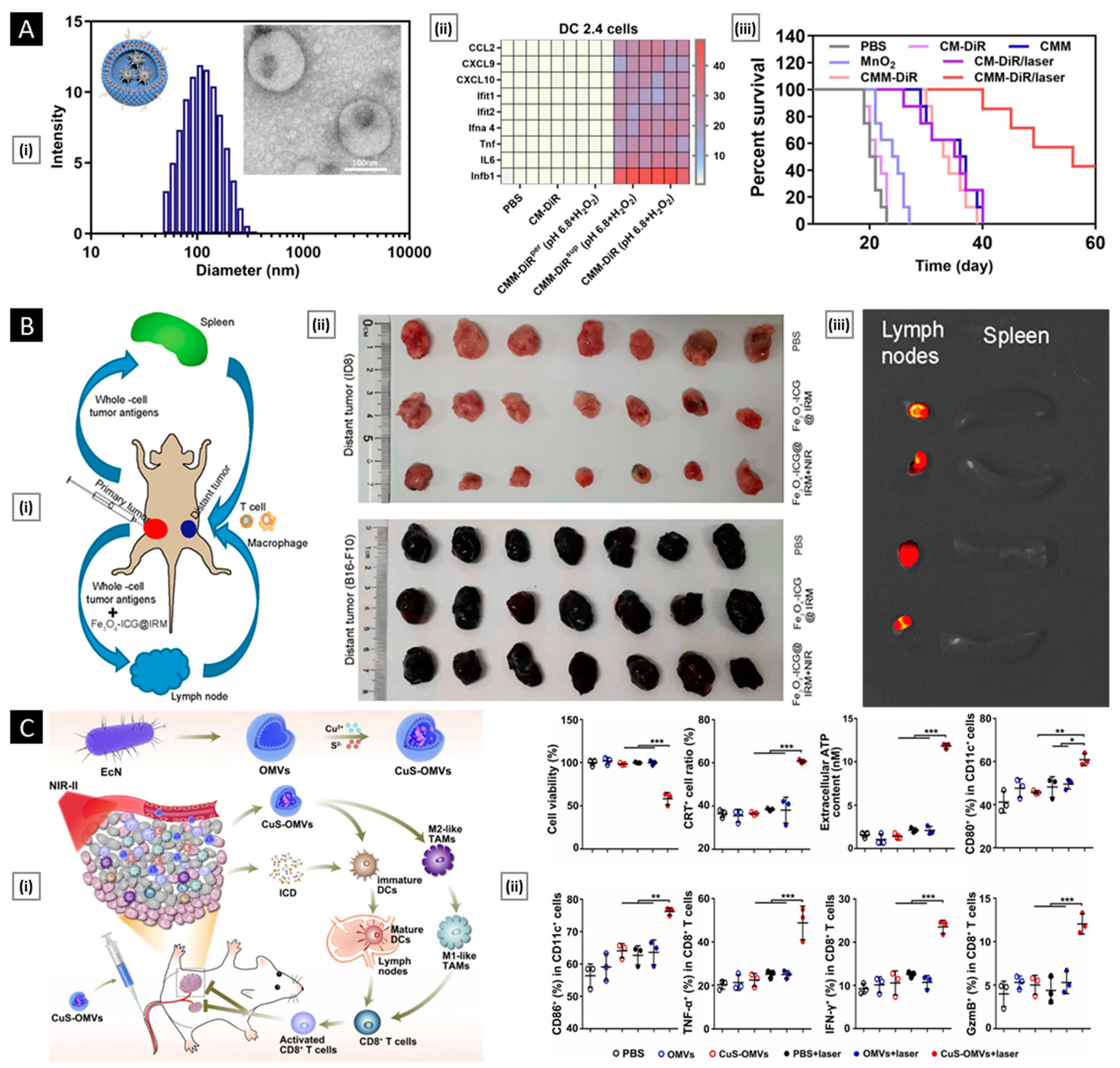Pharmaceutics 15 01677 g015 Pharmaceutics 15 01677 g015
