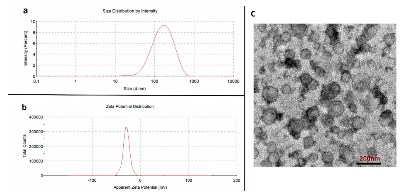 Pharmaceutics 15 01681 g003 Pharmaceutics 15 01681 g003