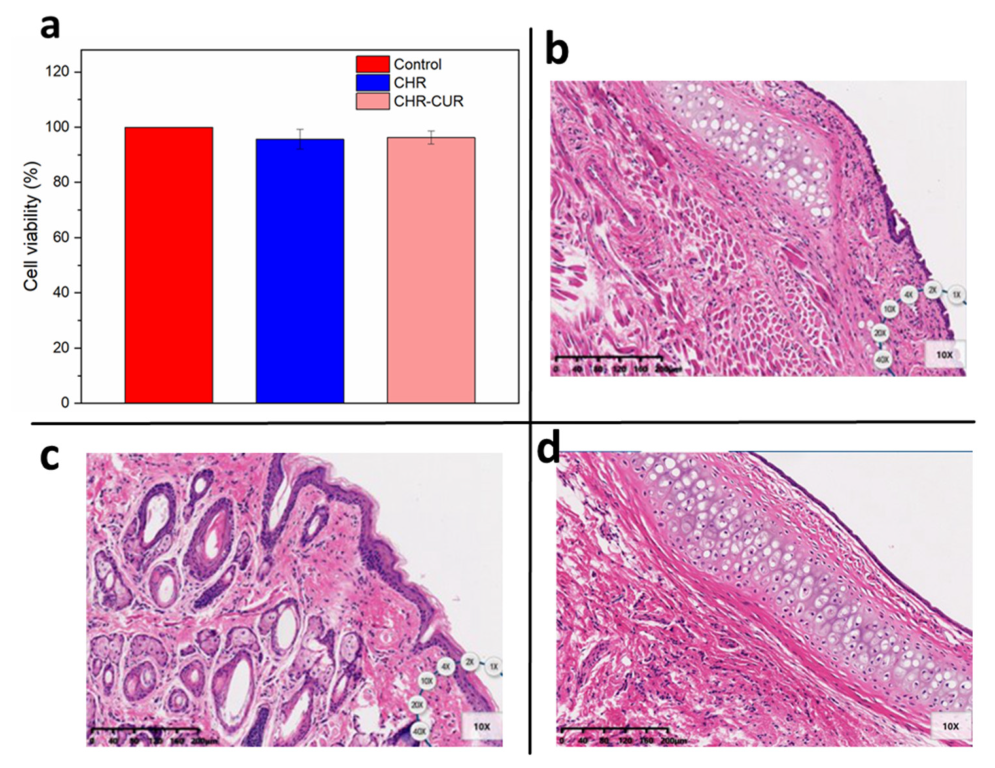 Pharmaceutics 15 01681 g005 Pharmaceutics 15 01681 g005