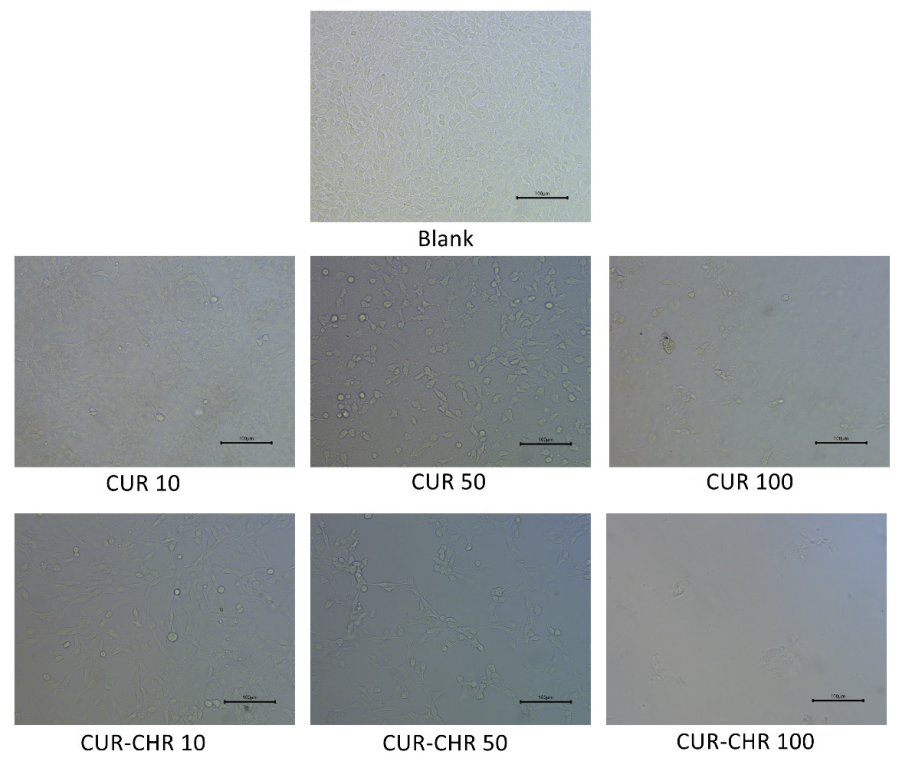 Pharmaceutics 15 01681 g010 Pharmaceutics 15 01681 g010