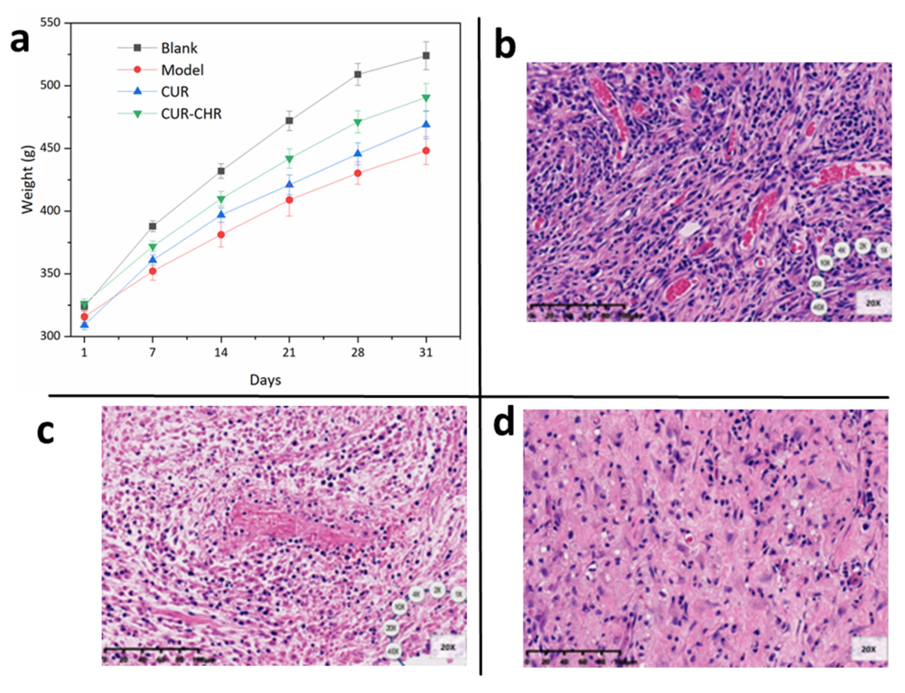 Pharmaceutics 15 01681 g011 Pharmaceutics 15 01681 g011