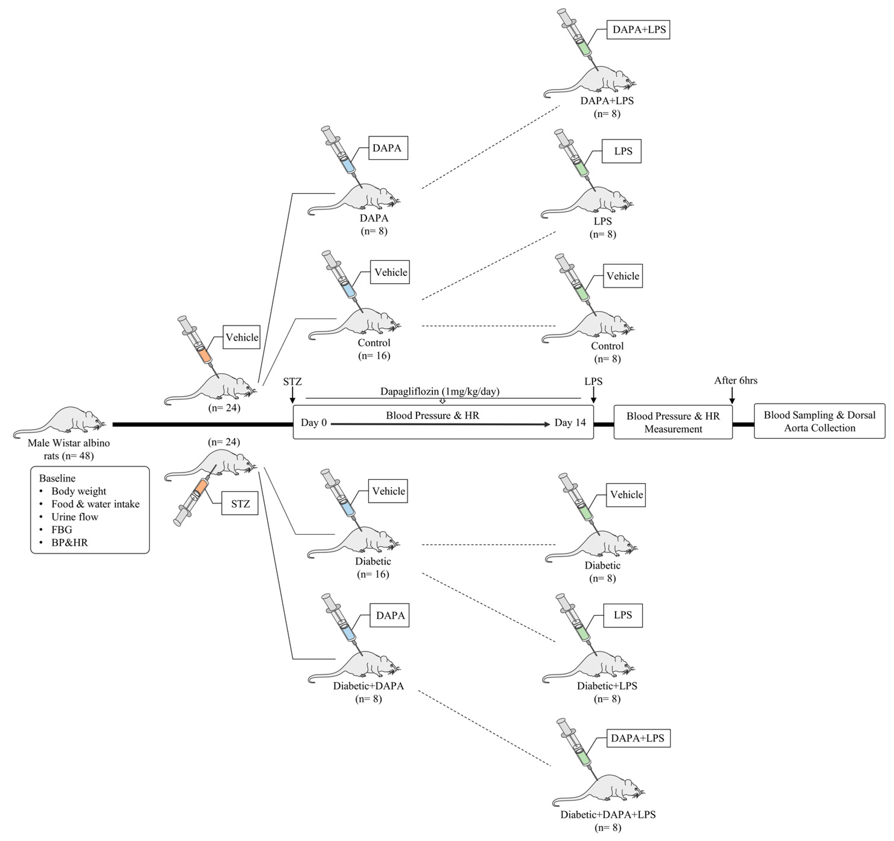 Pharmaceutics 15 01683 g001
