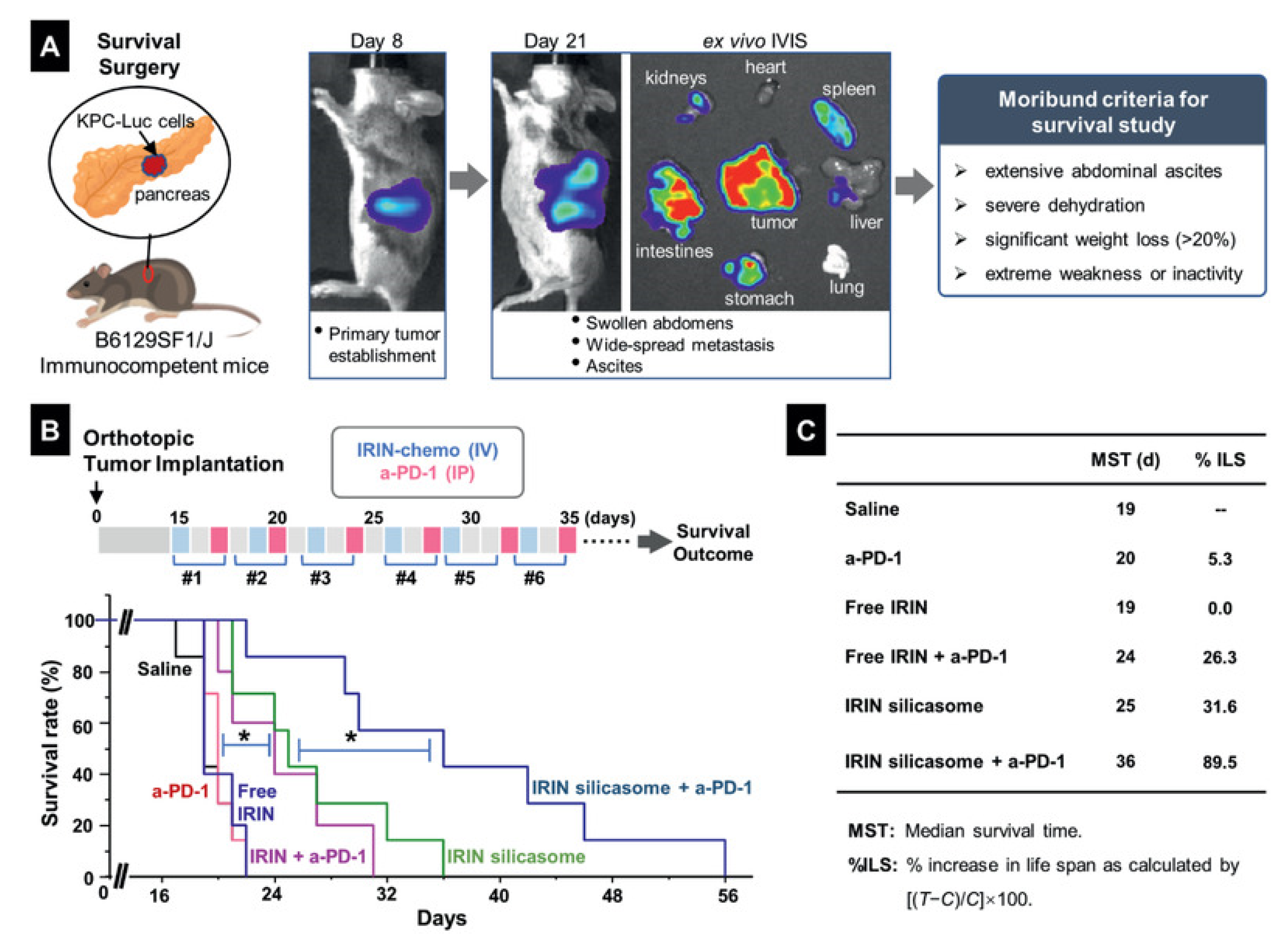 Pharmaceutics 15 01686 g004