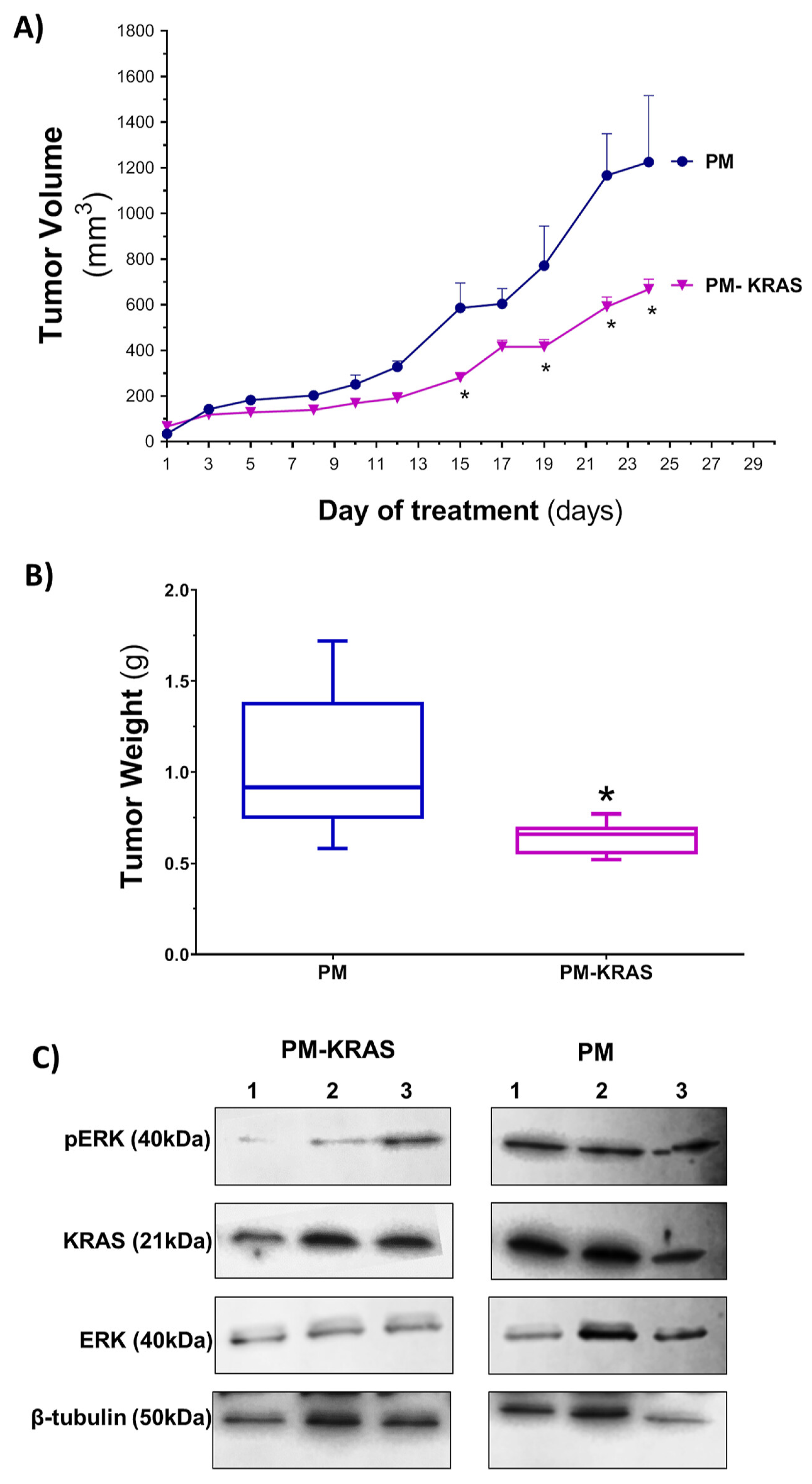 Pharmaceutics 15 01686 g005