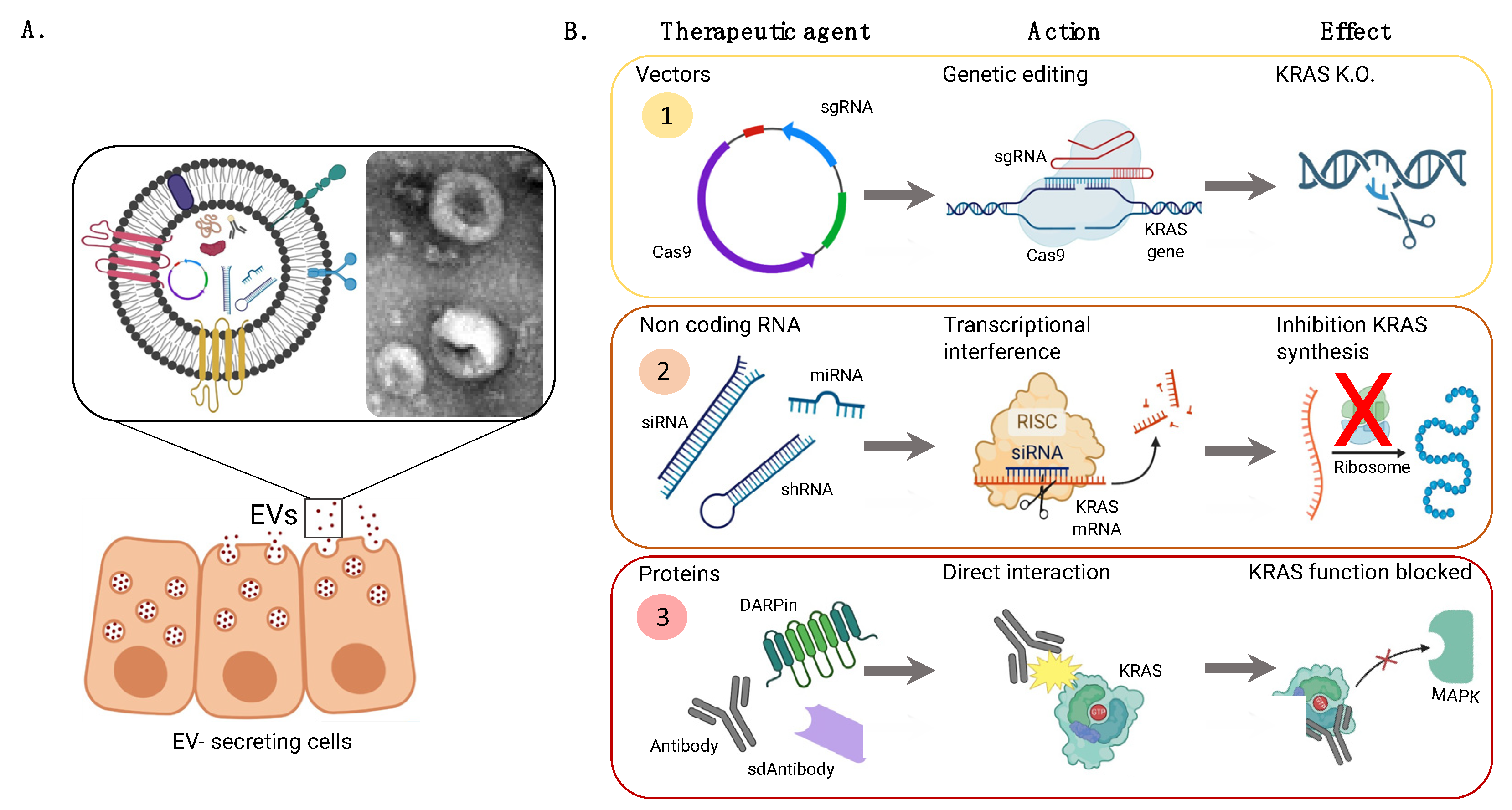 Pharmaceutics 15 01686 g007