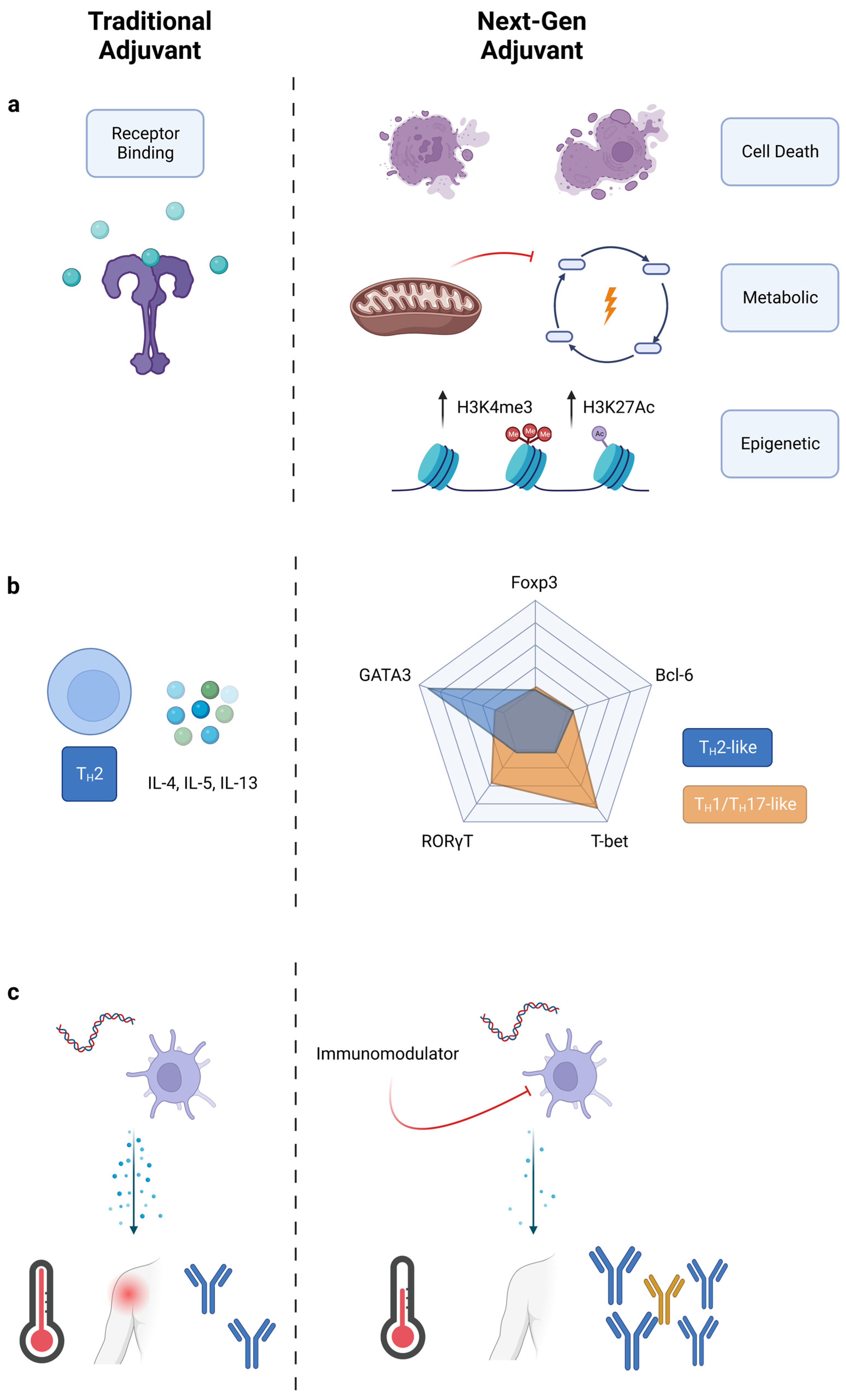 Pharmaceutics 15 01687 g001 Pharmaceutics 15 01687 g001