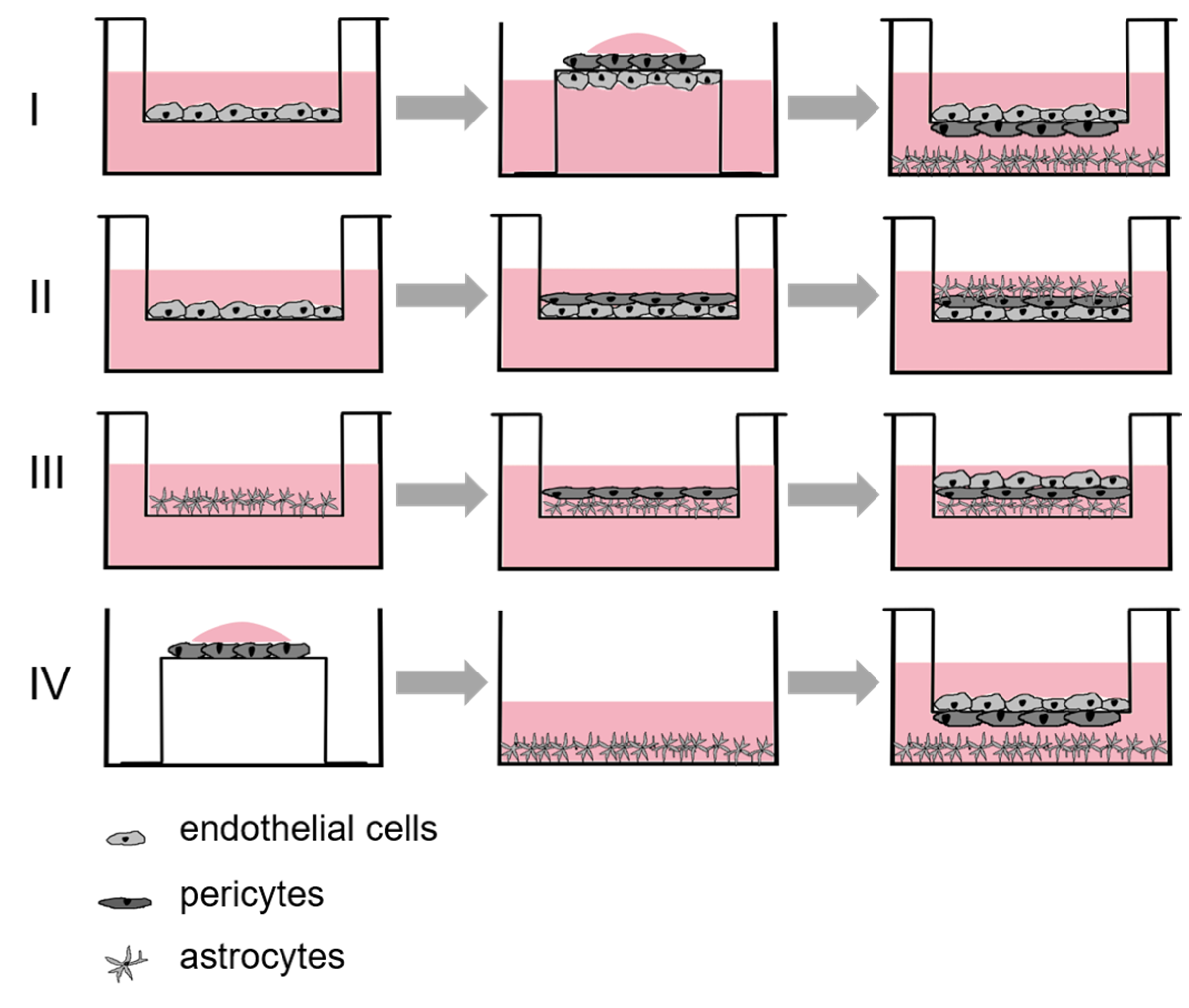Pharmaceutics 15 01688 g002