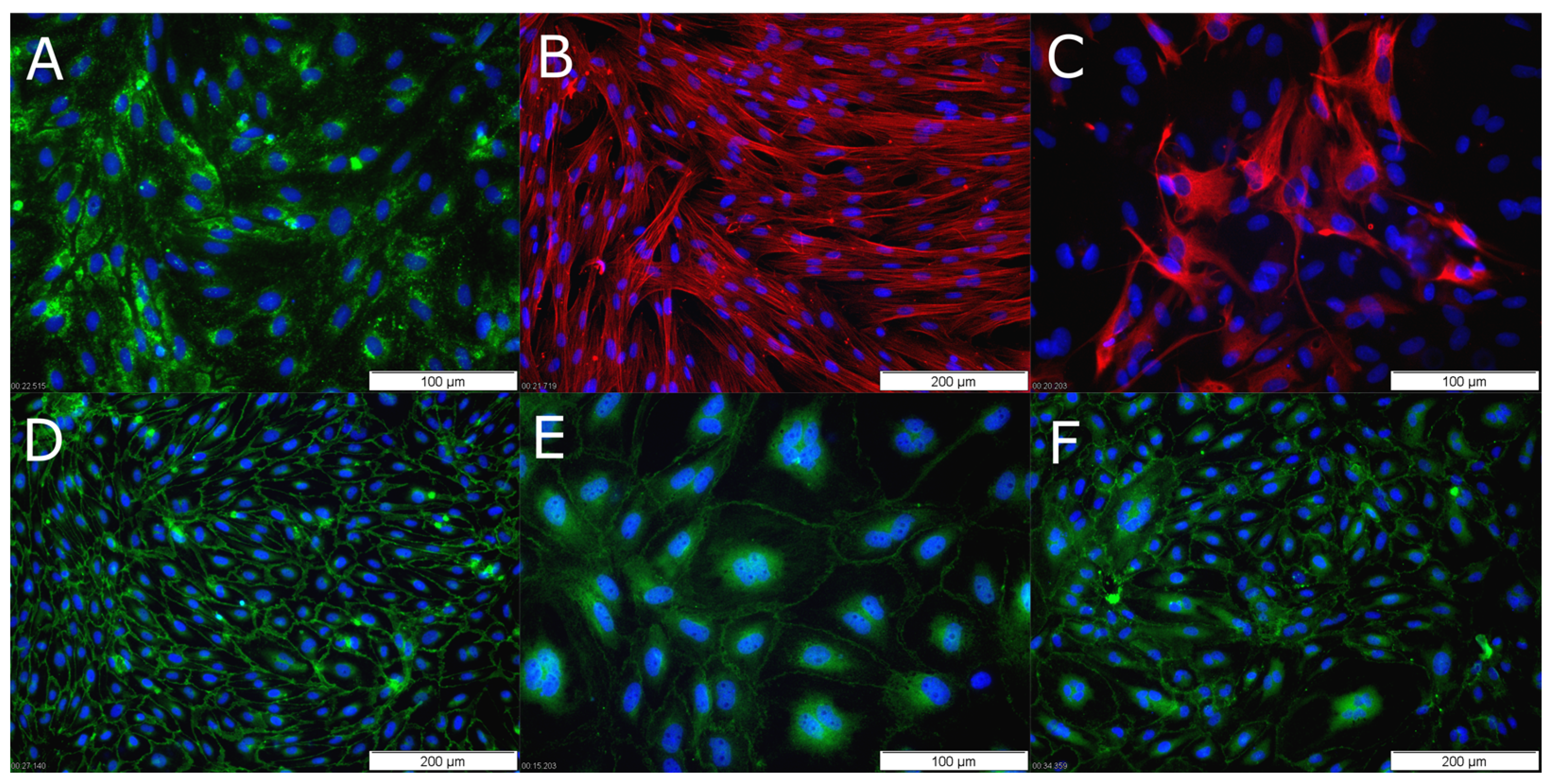 Pharmaceutics 15 01688 g003